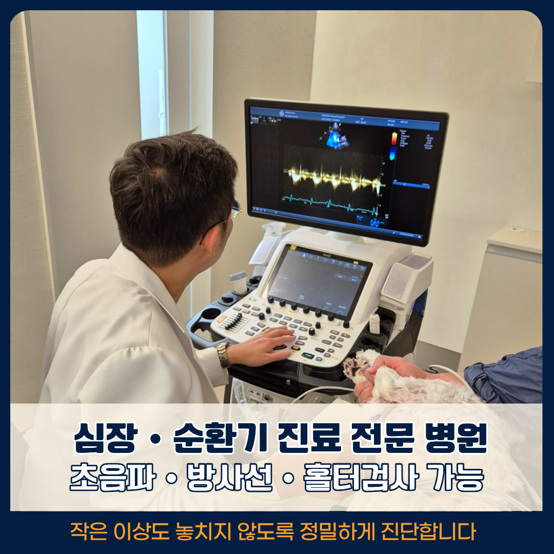 오디세이동물심장내과 대표 이미지