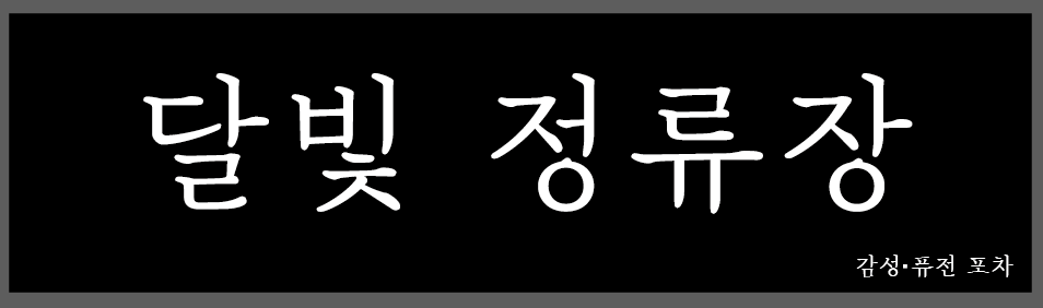 달빛정류장