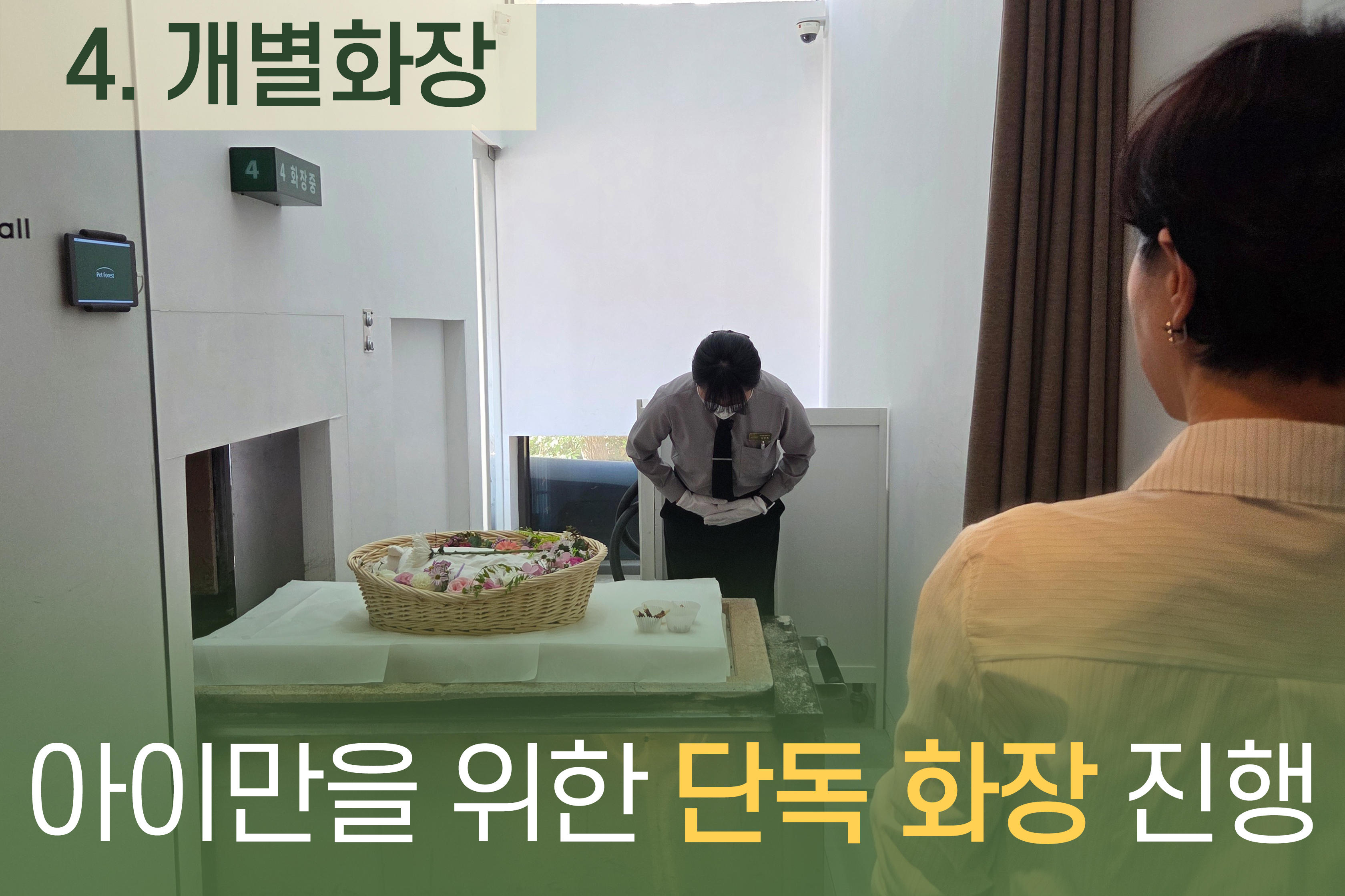 펫포레스트 대표 이미지