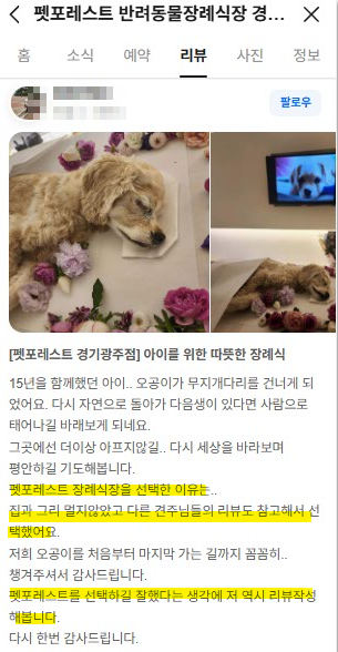 펫포레스트 대표 이미지