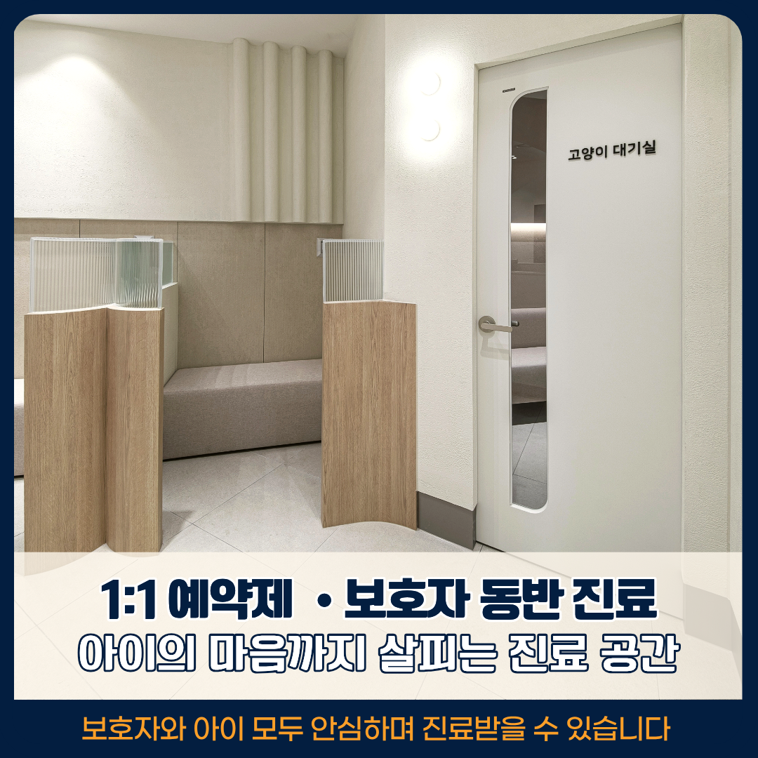 오디세이동물심장내과 대표 이미지