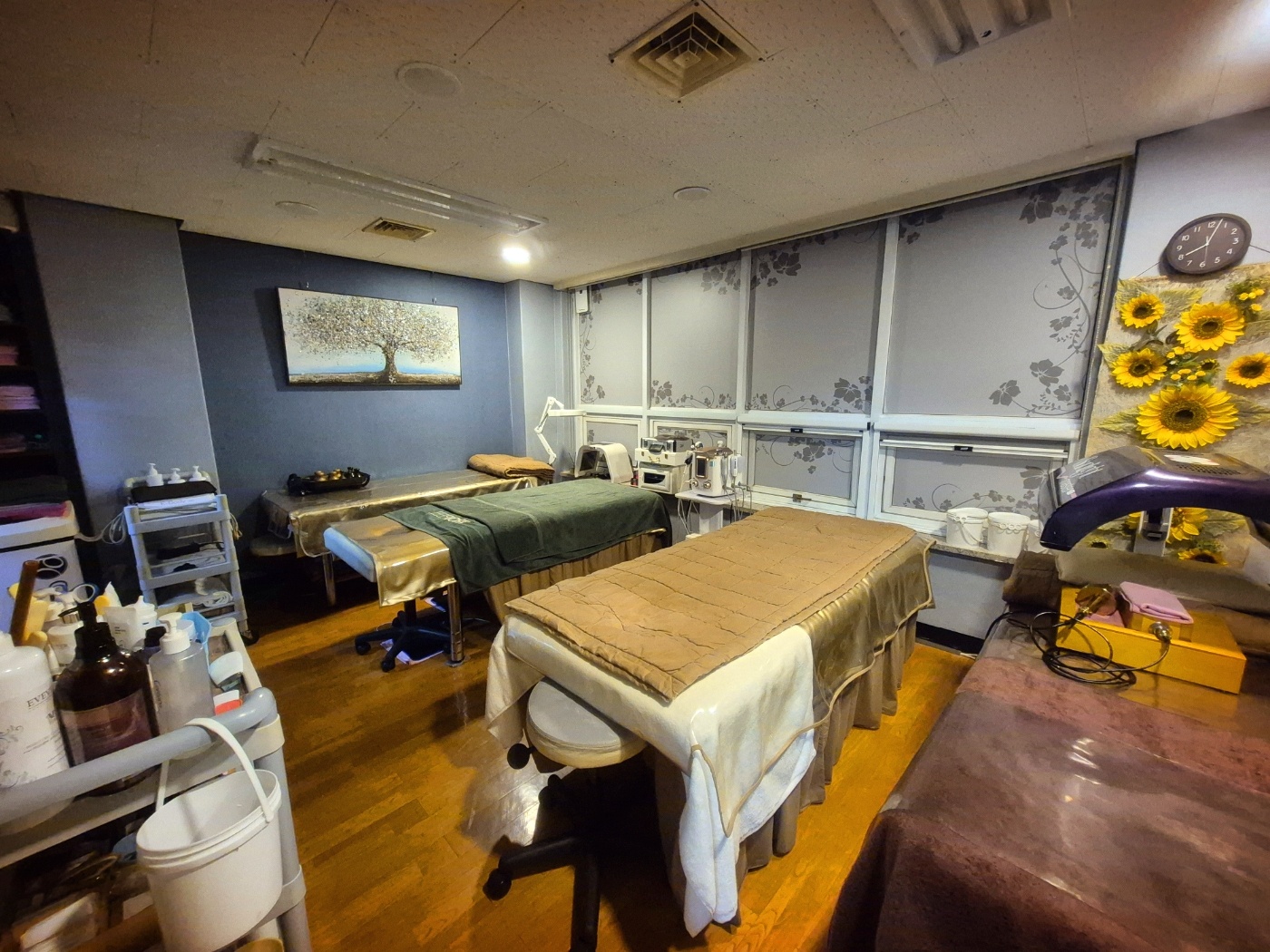 썸에스테틱 대표 이미지