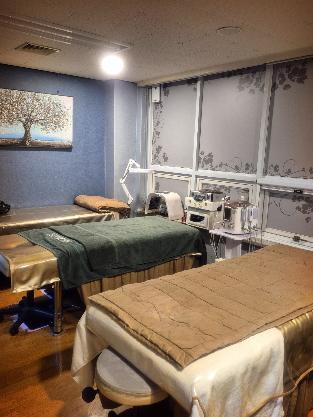 썸에스테틱 역삼본점 대표 이미지