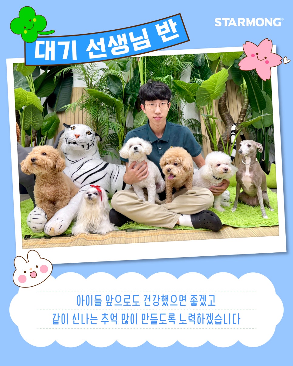 스타몽 강아지유치원&애견호텔&미용 대표 이미지