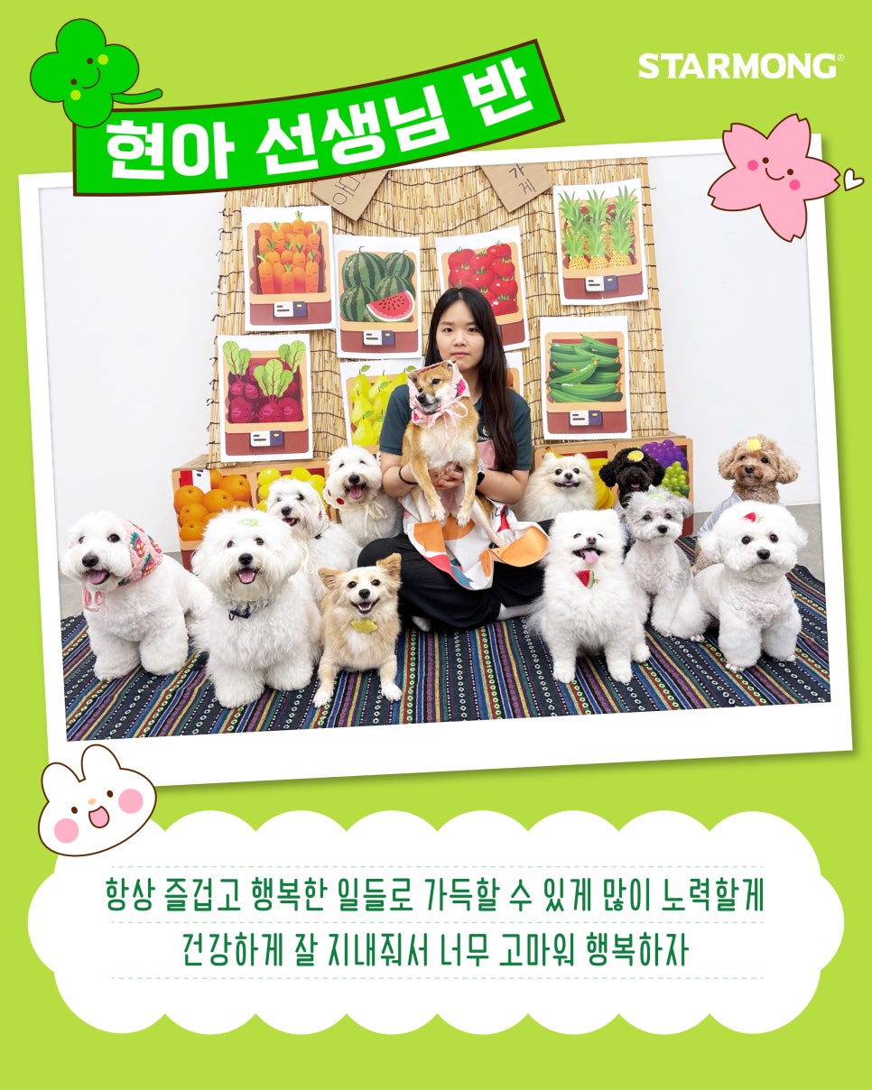 스타몽 대표 이미지