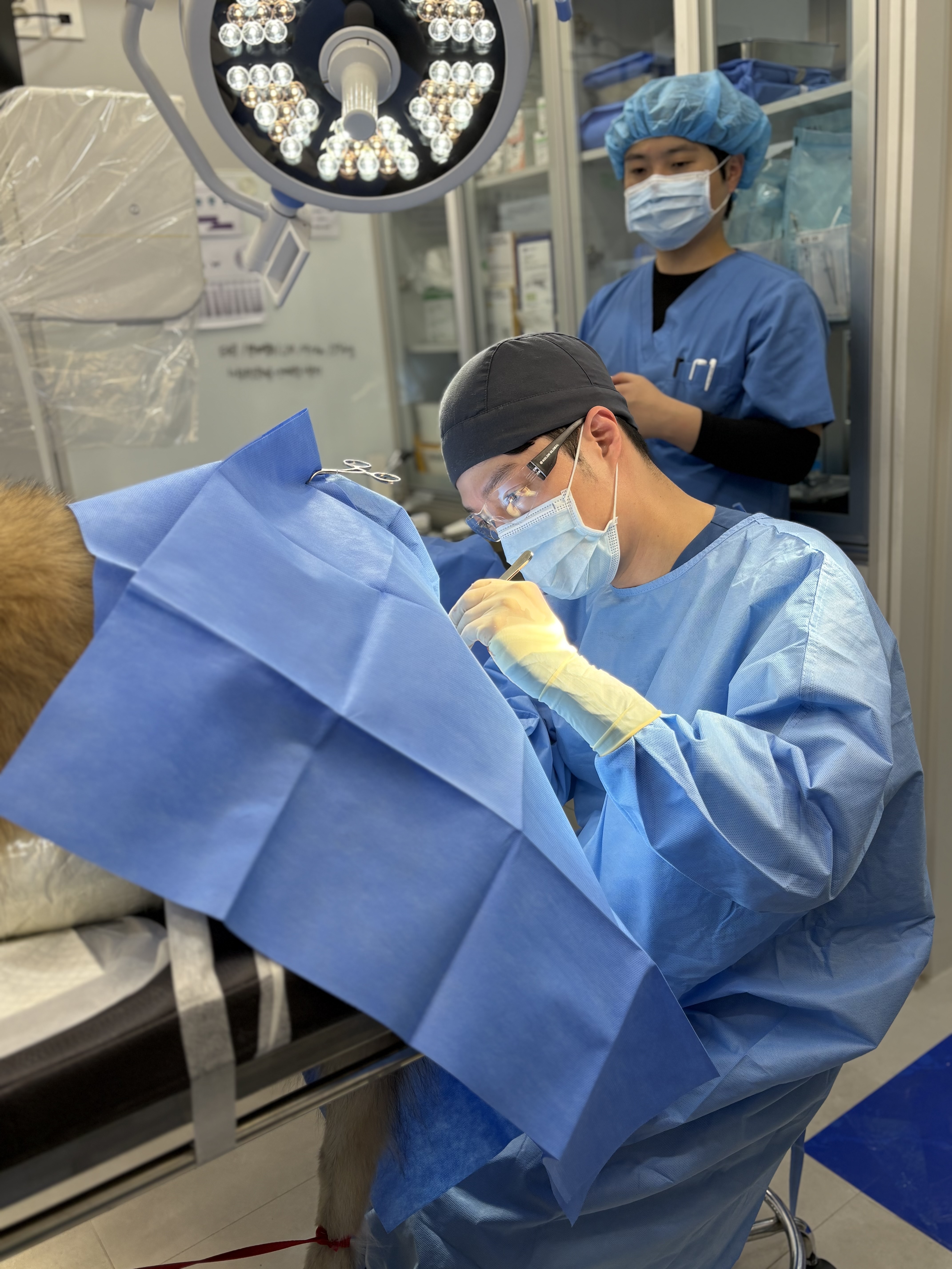 비비동물병원 대표 이미지