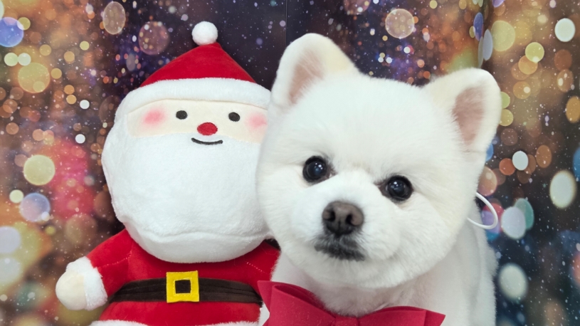 바스멍 대표 이미지