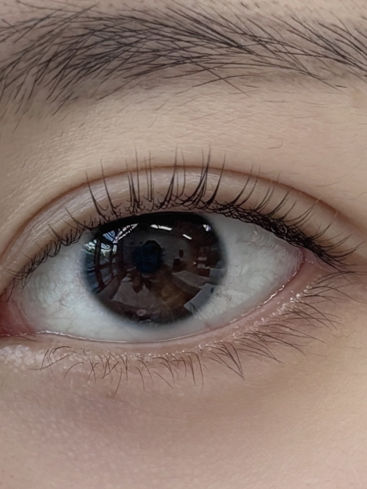 래쉬페이지 문정본점 대표 이미지