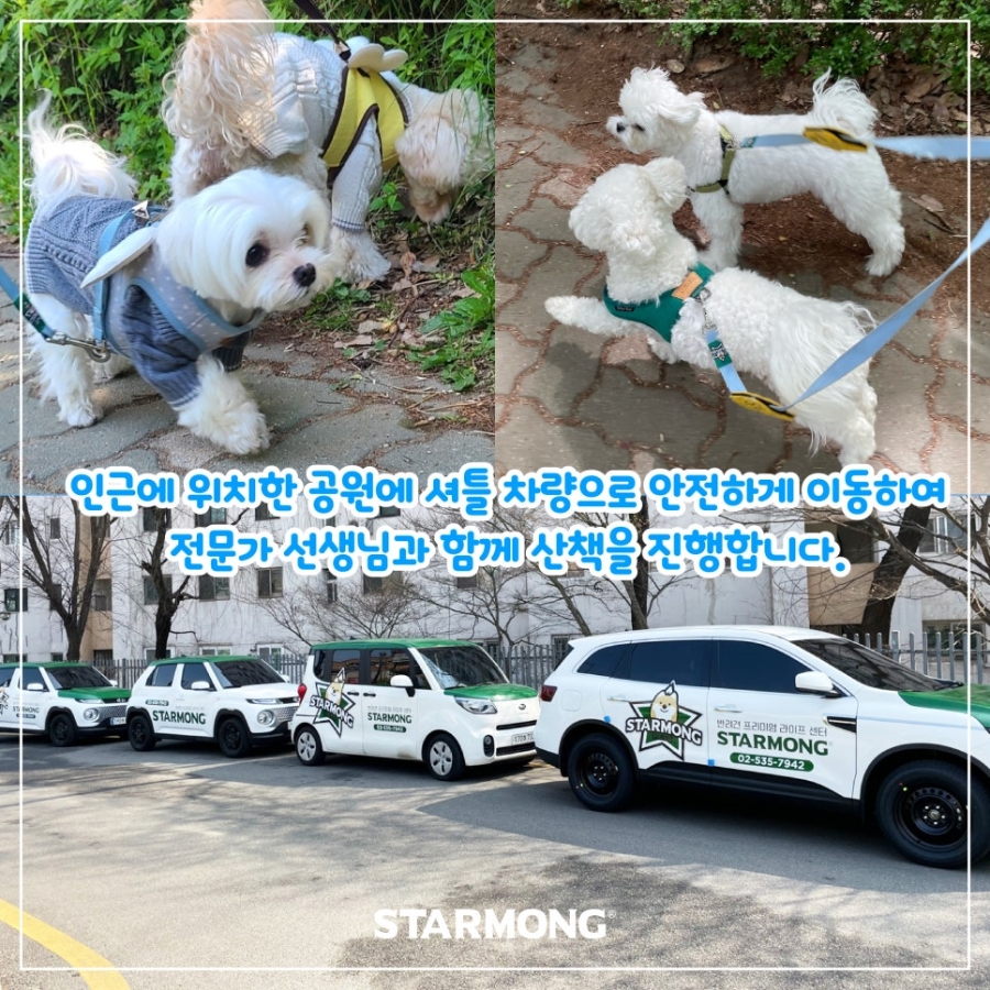 스타몽 애견호텔 대표 이미지