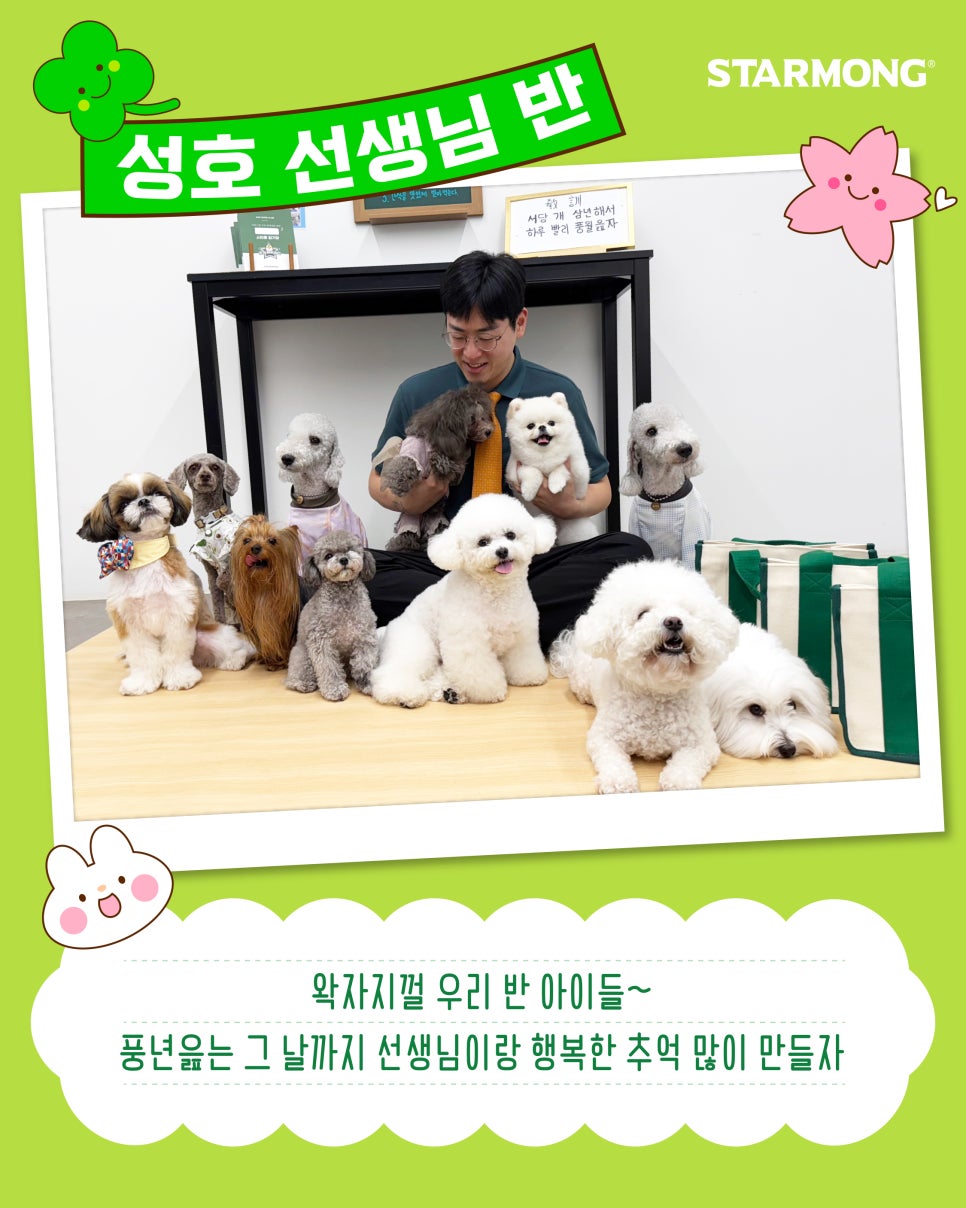 스타몽 대표 이미지