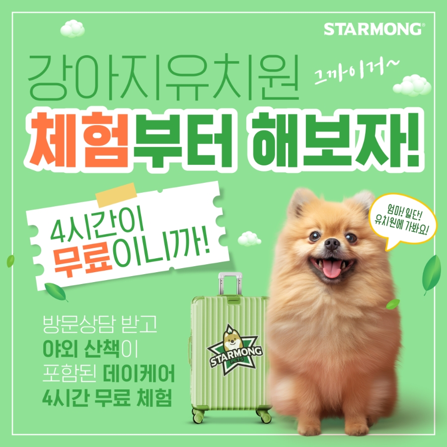 스타몽 대표 이미지