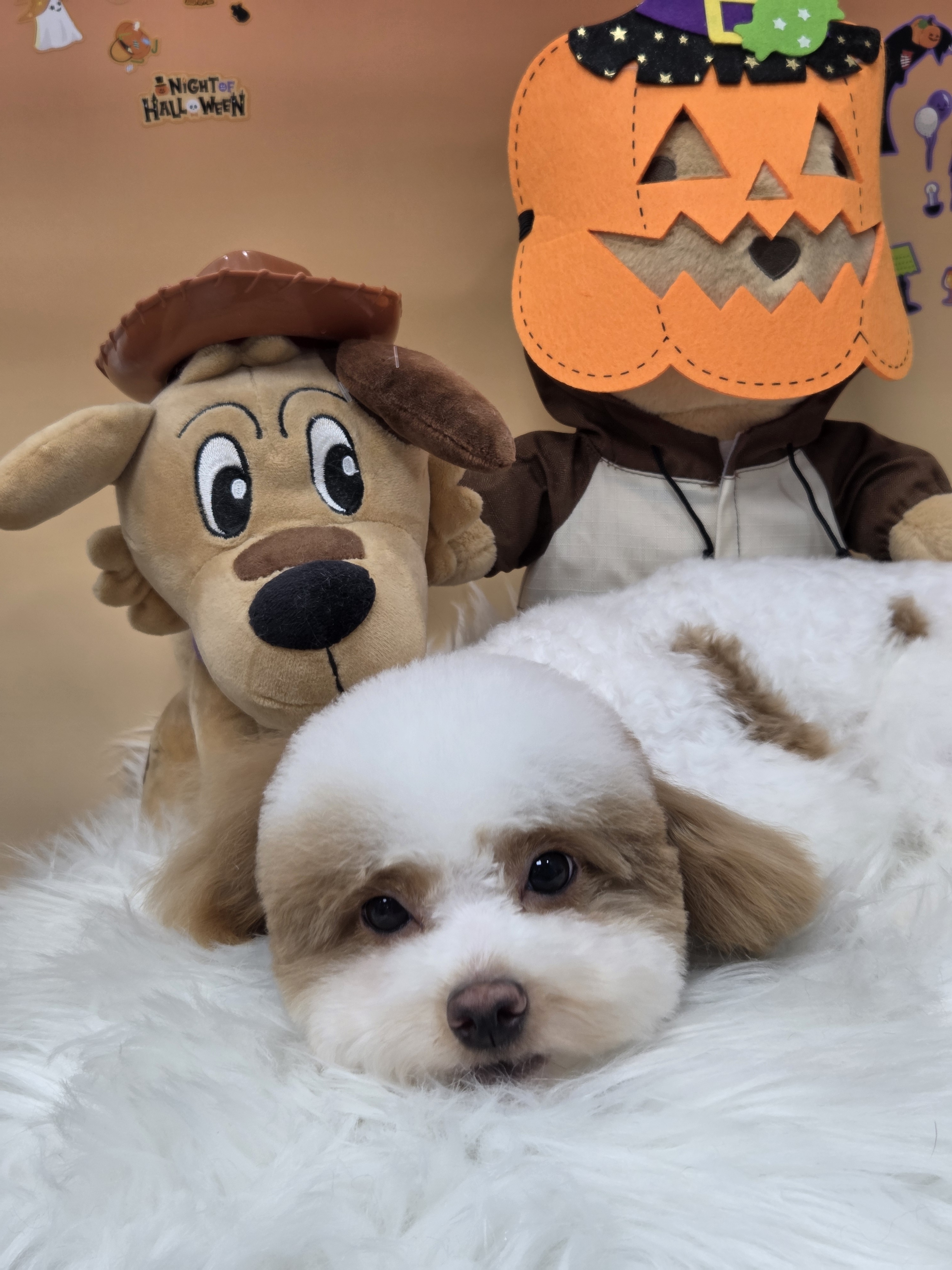 바스멍 대표 이미지