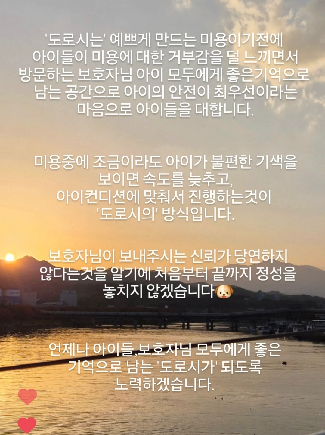 도로시 대표 이미지