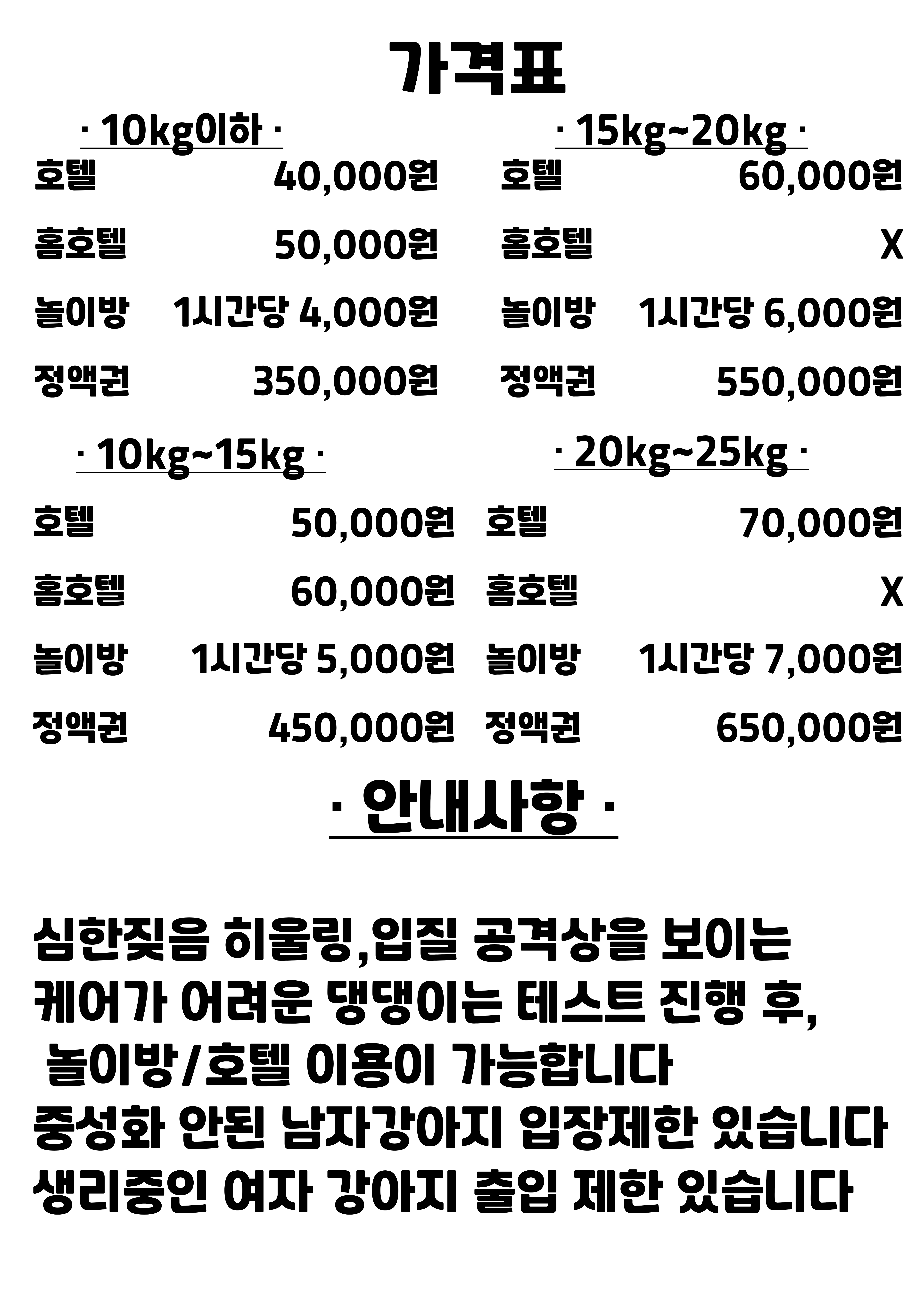 개성애견카페 애견호텔 애견놀이방 4