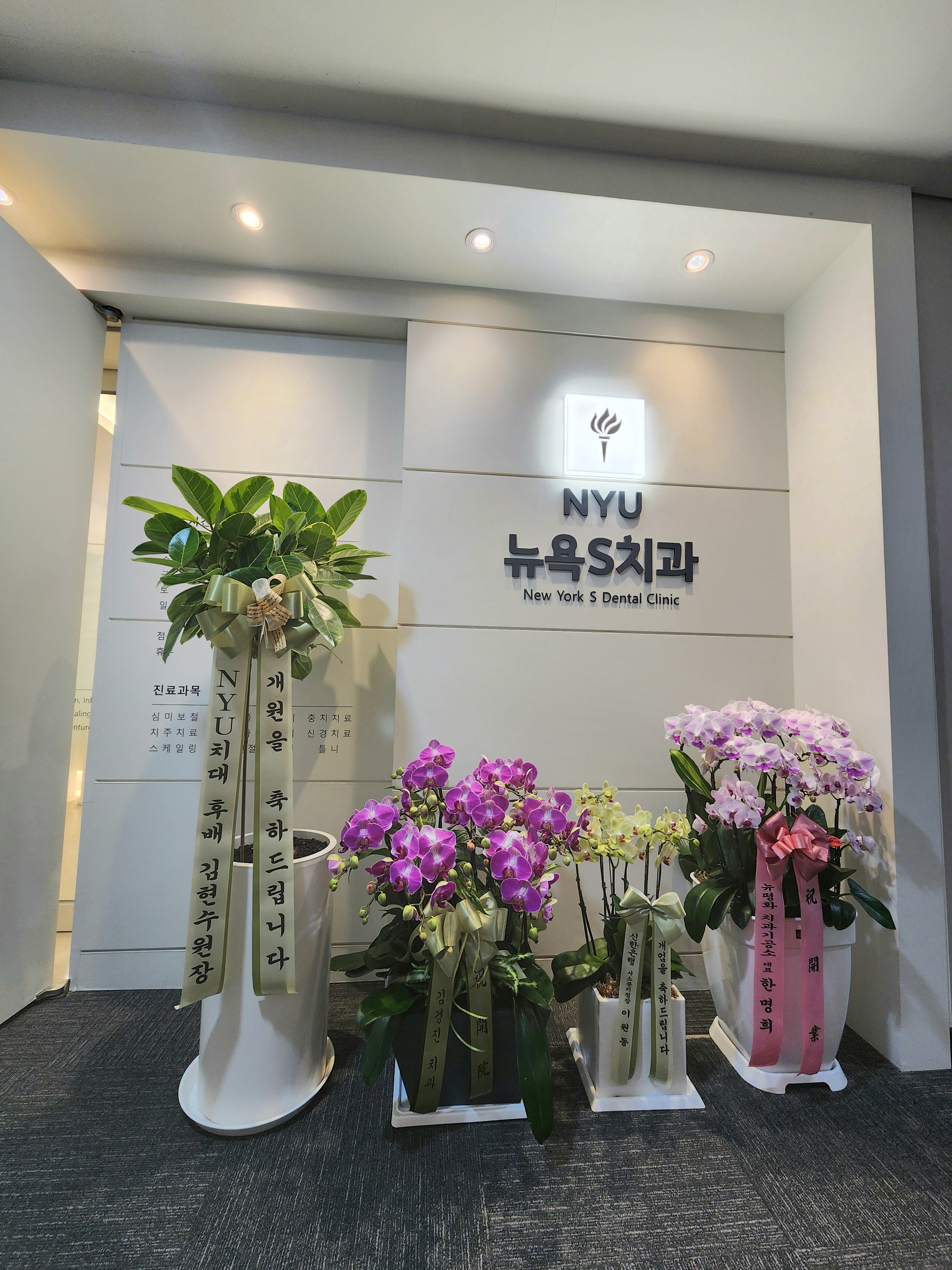 뉴욕S치과의원 대표 이미지