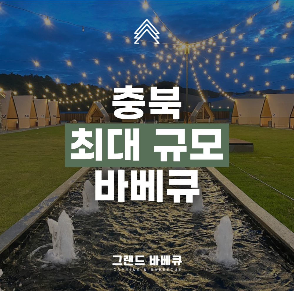 사진 2