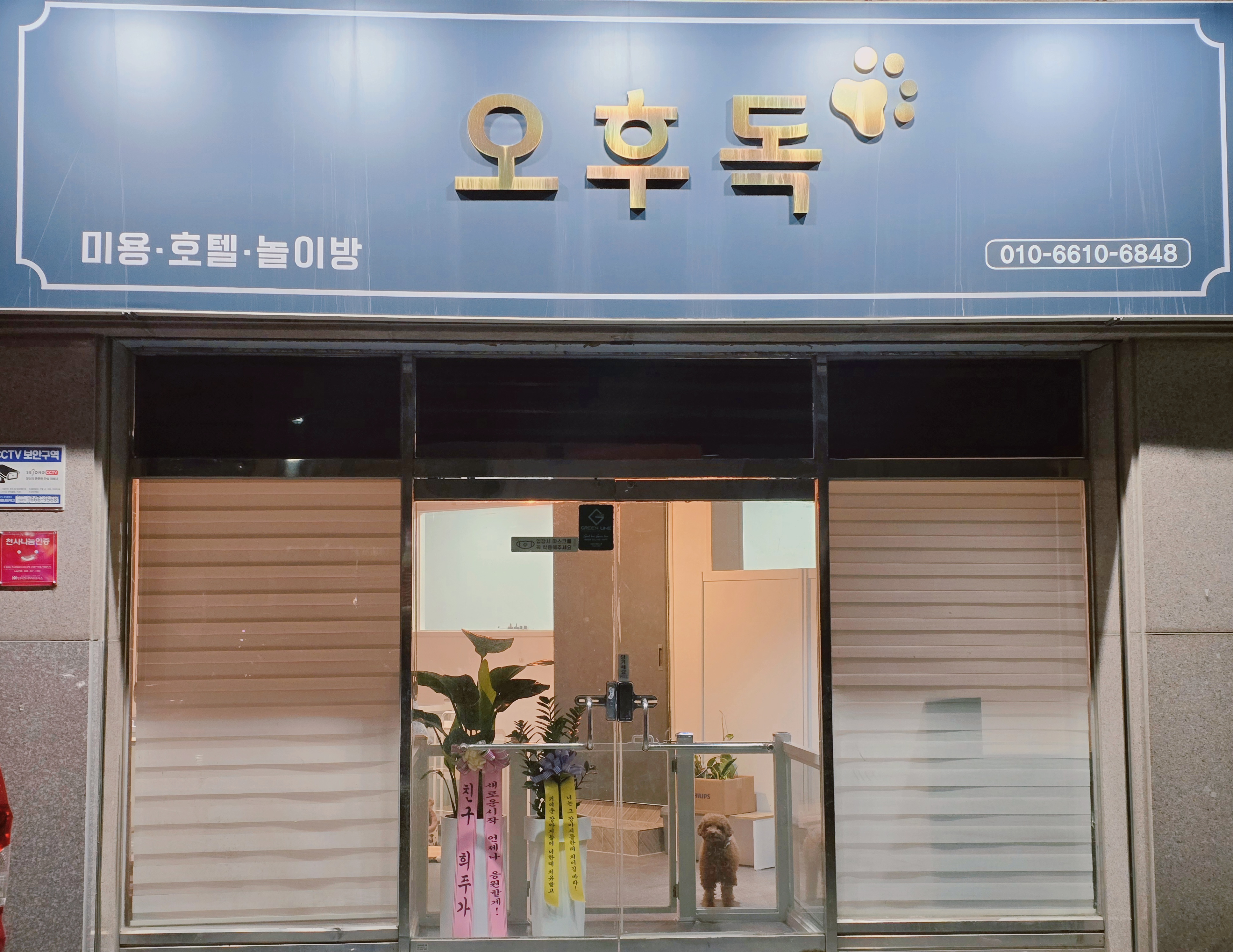 오후독 대표 이미지