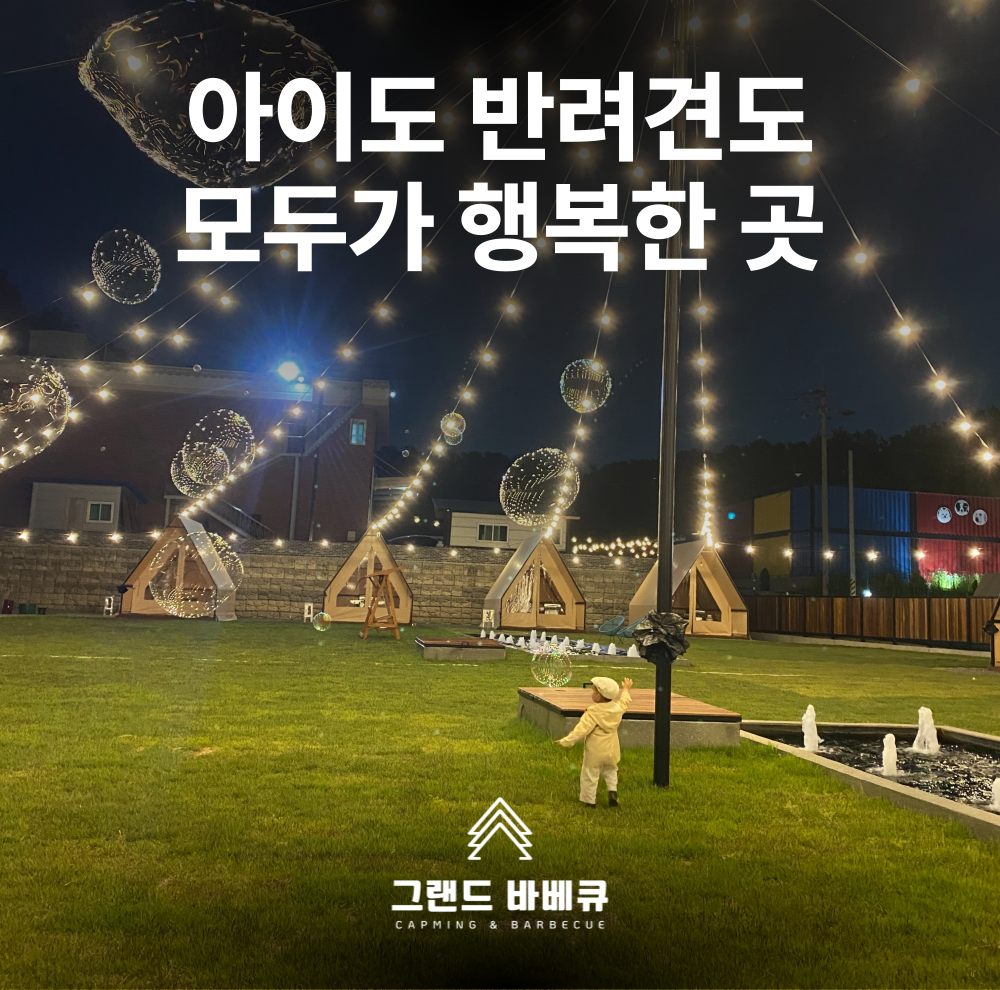 사진 4