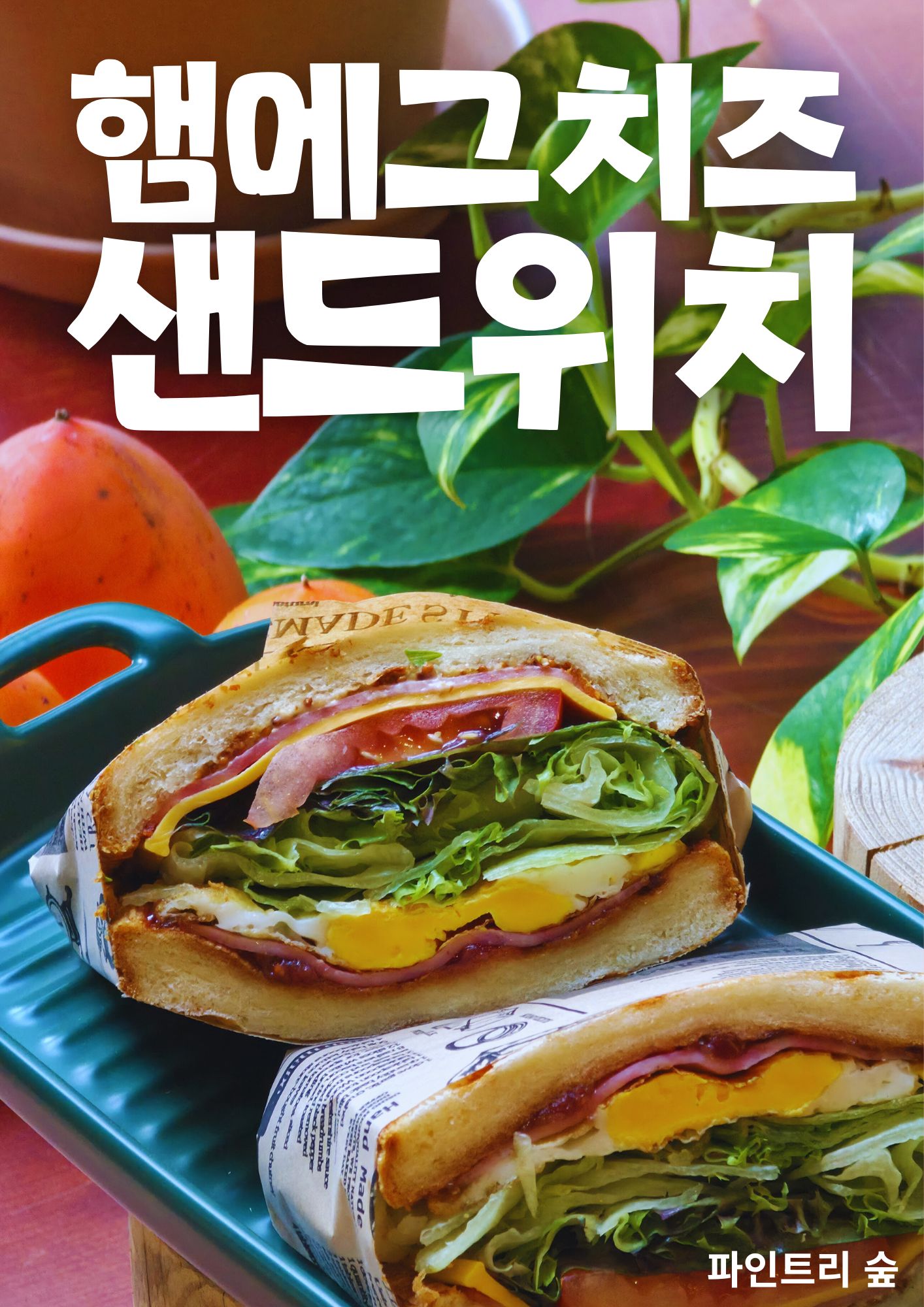 파인트리숲 반려동물 동반 애견카페