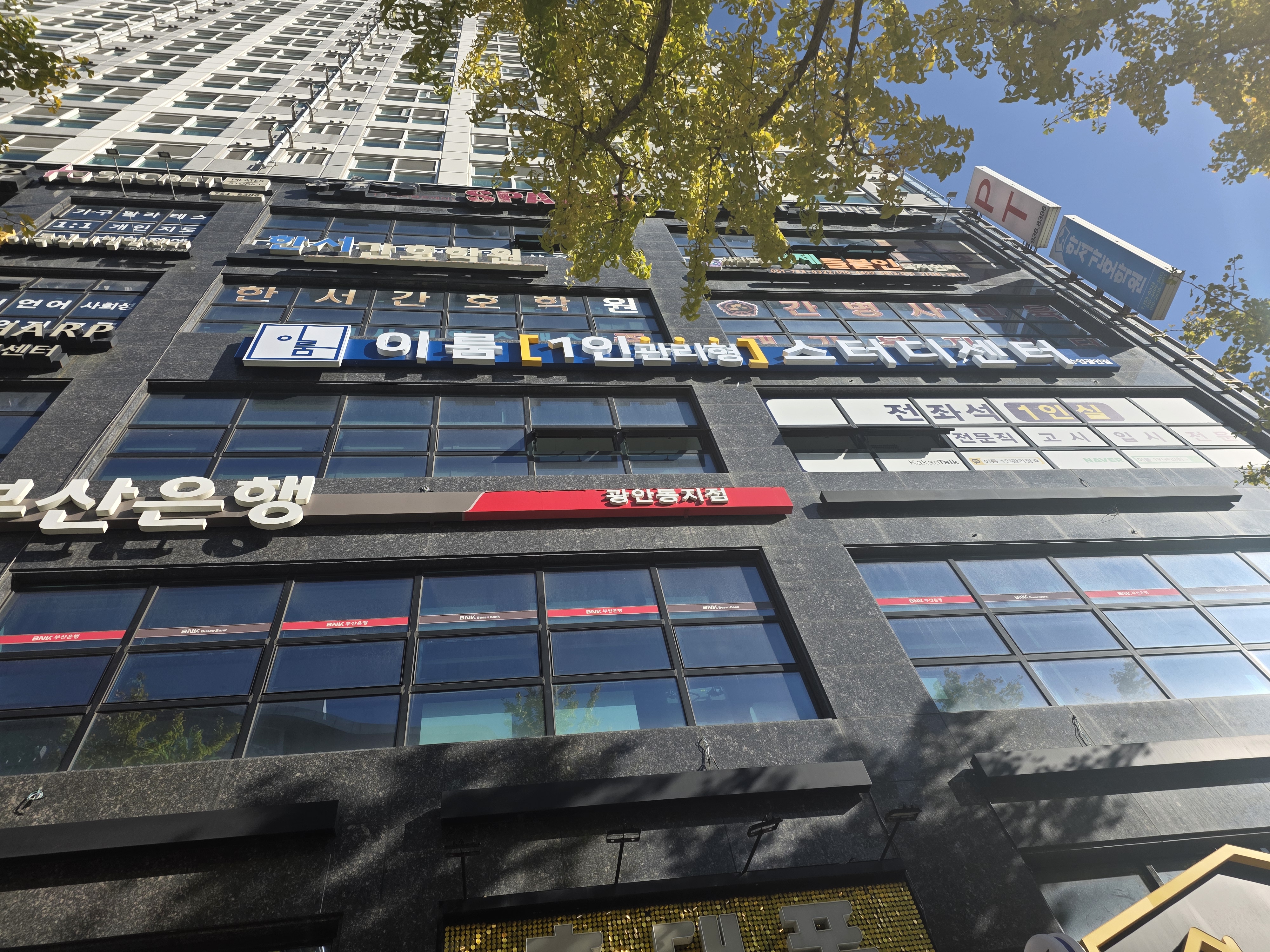 업체사진