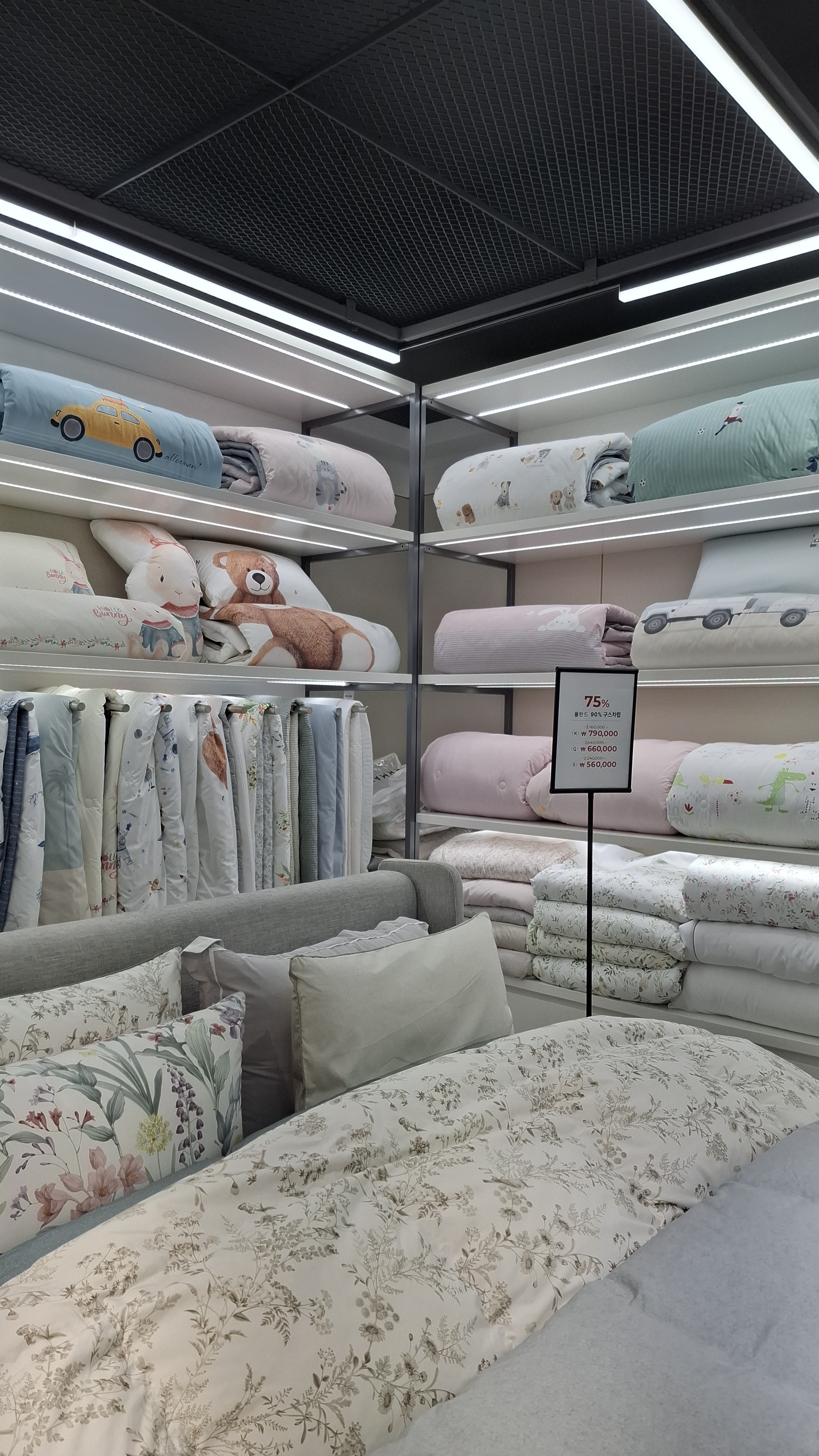 알레르망 스핑크스 등촌역점