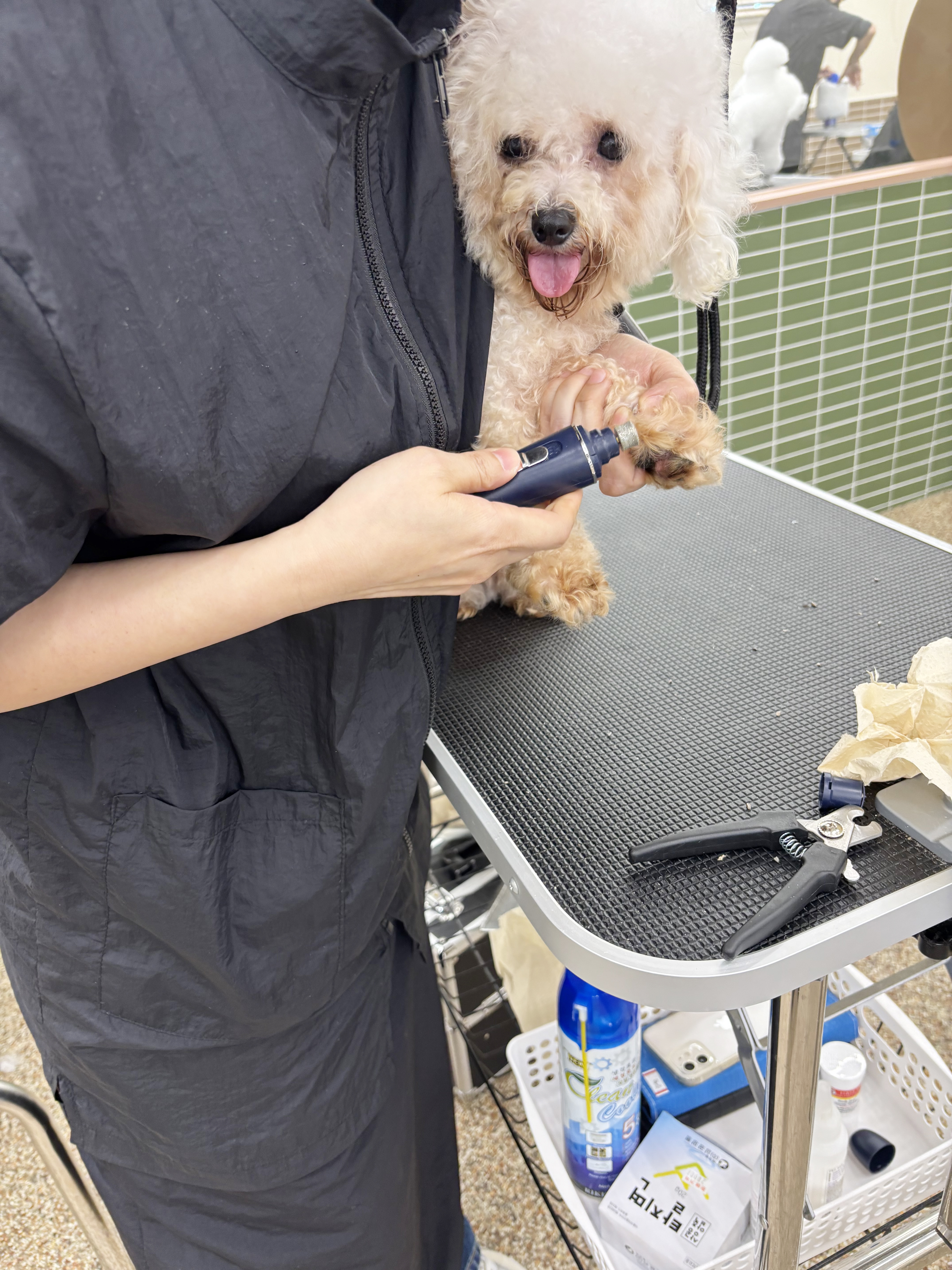 코리아펫아카데미 대표 이미지