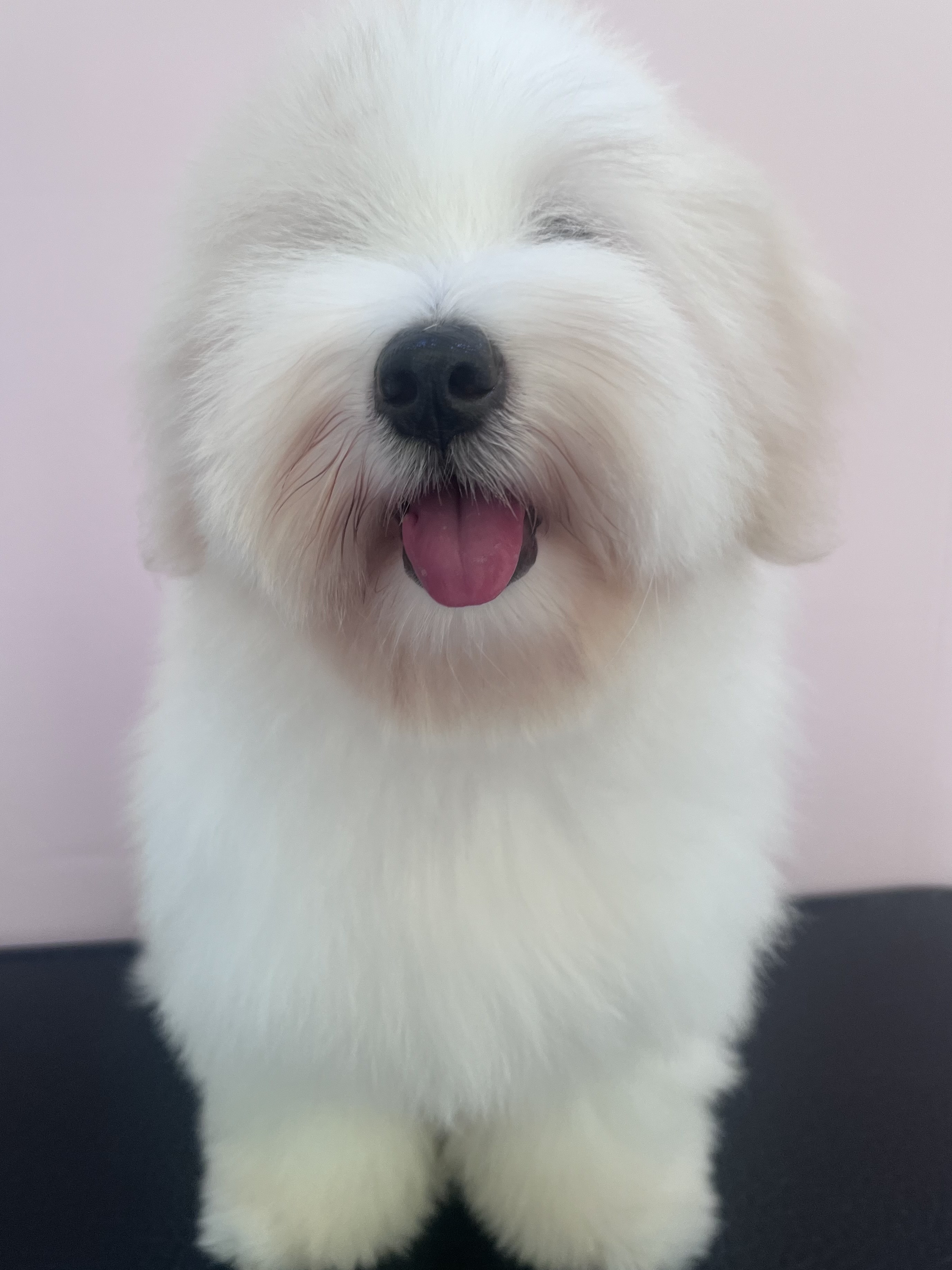 위드멍 4