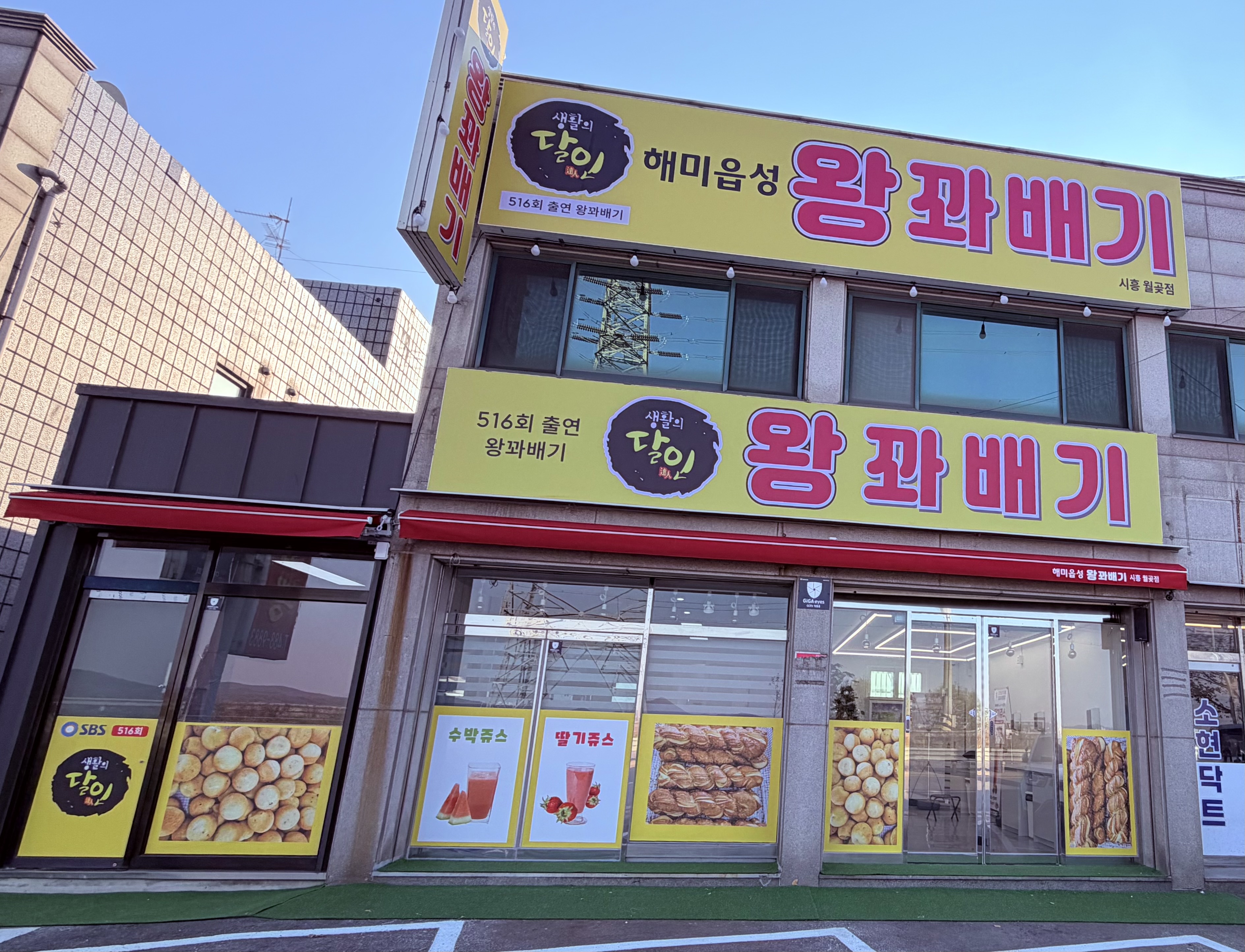 진도울그미왕꽈배기 반려동물 동반 애견카페