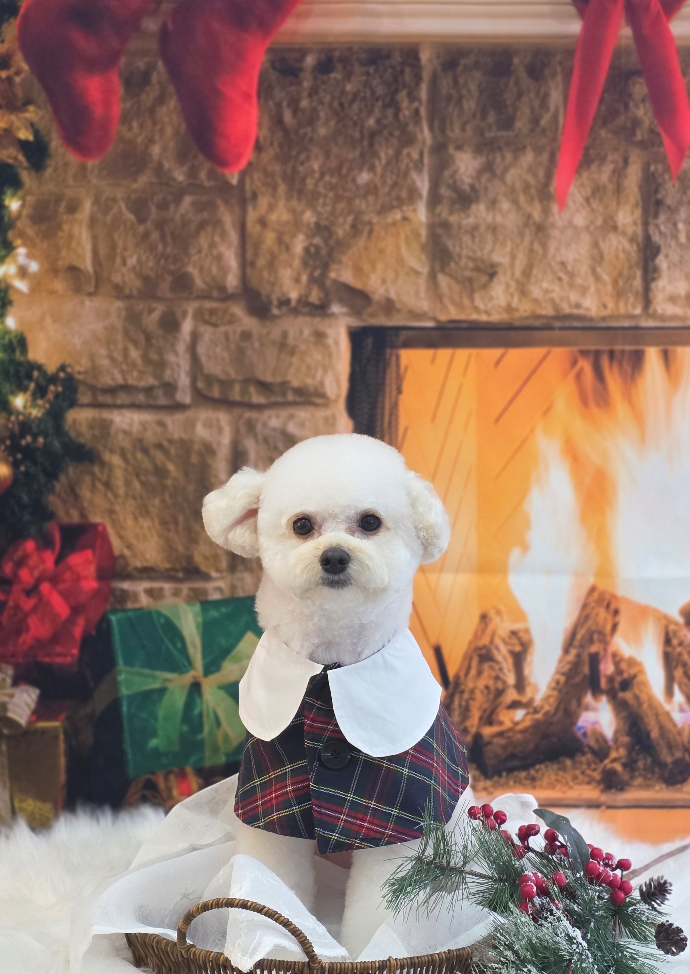 팡앤뭉치 대표 이미지