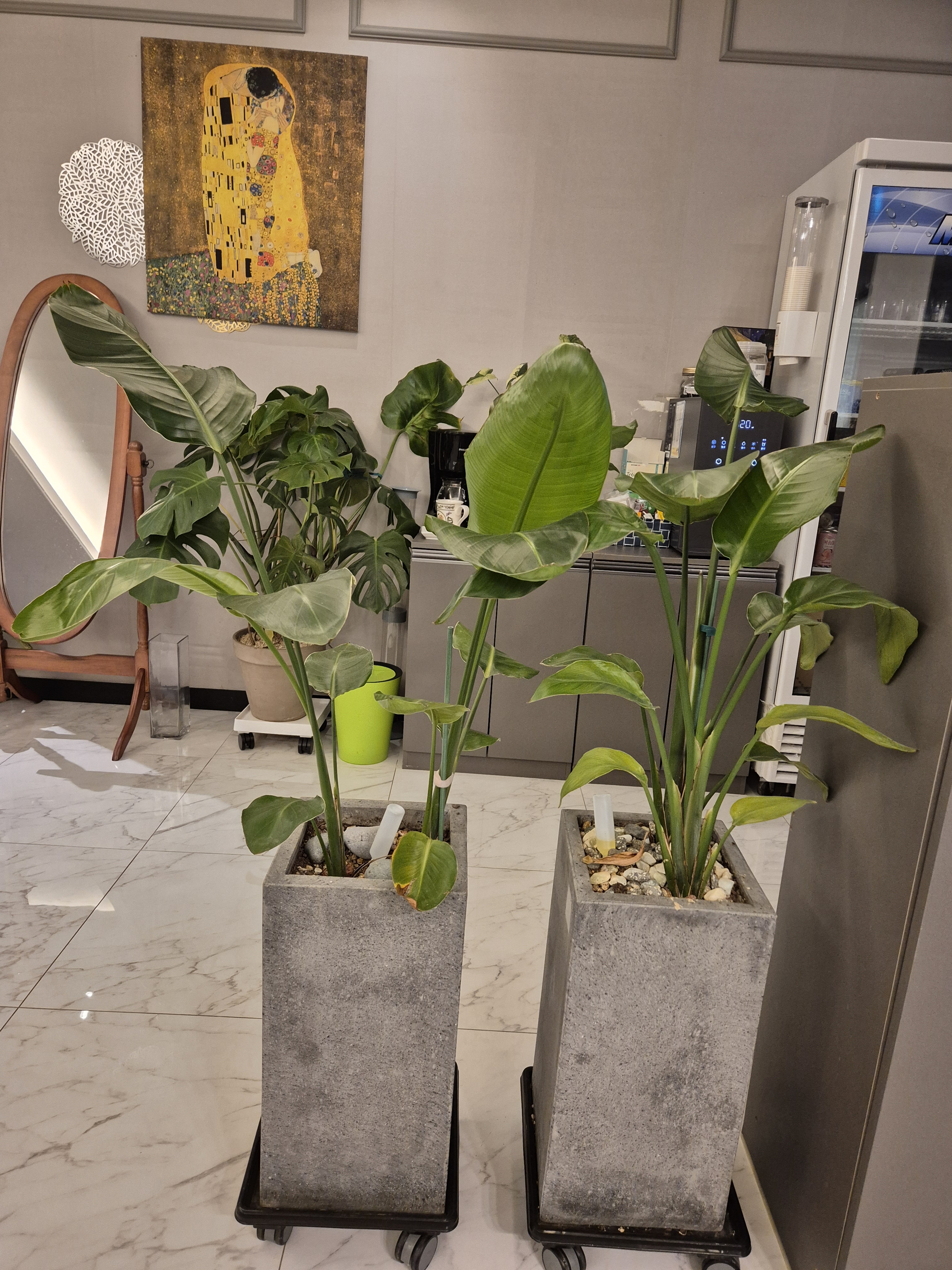 후타이마사지 photo 5