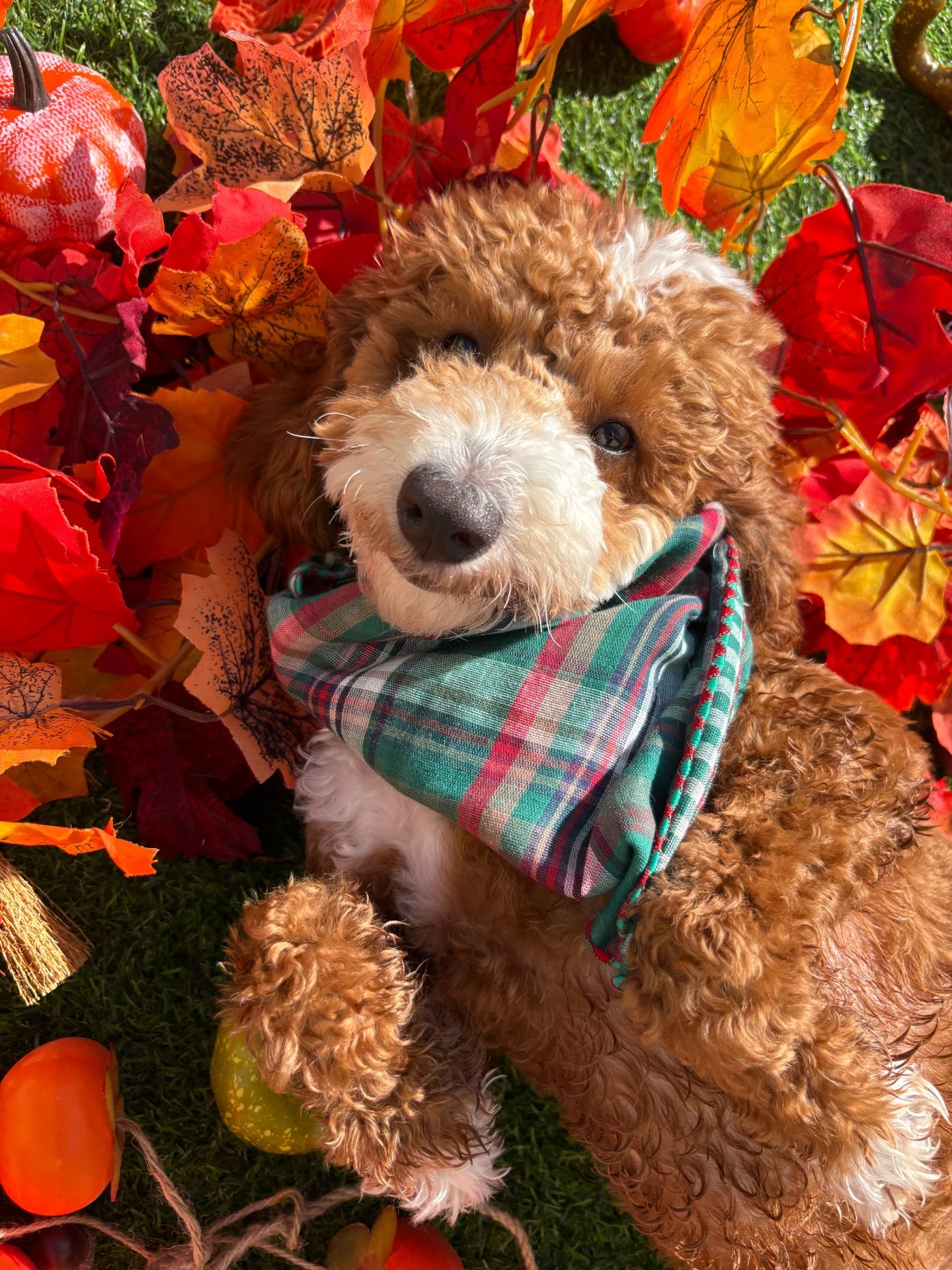 놀러오개 수원세류점 대표 이미지