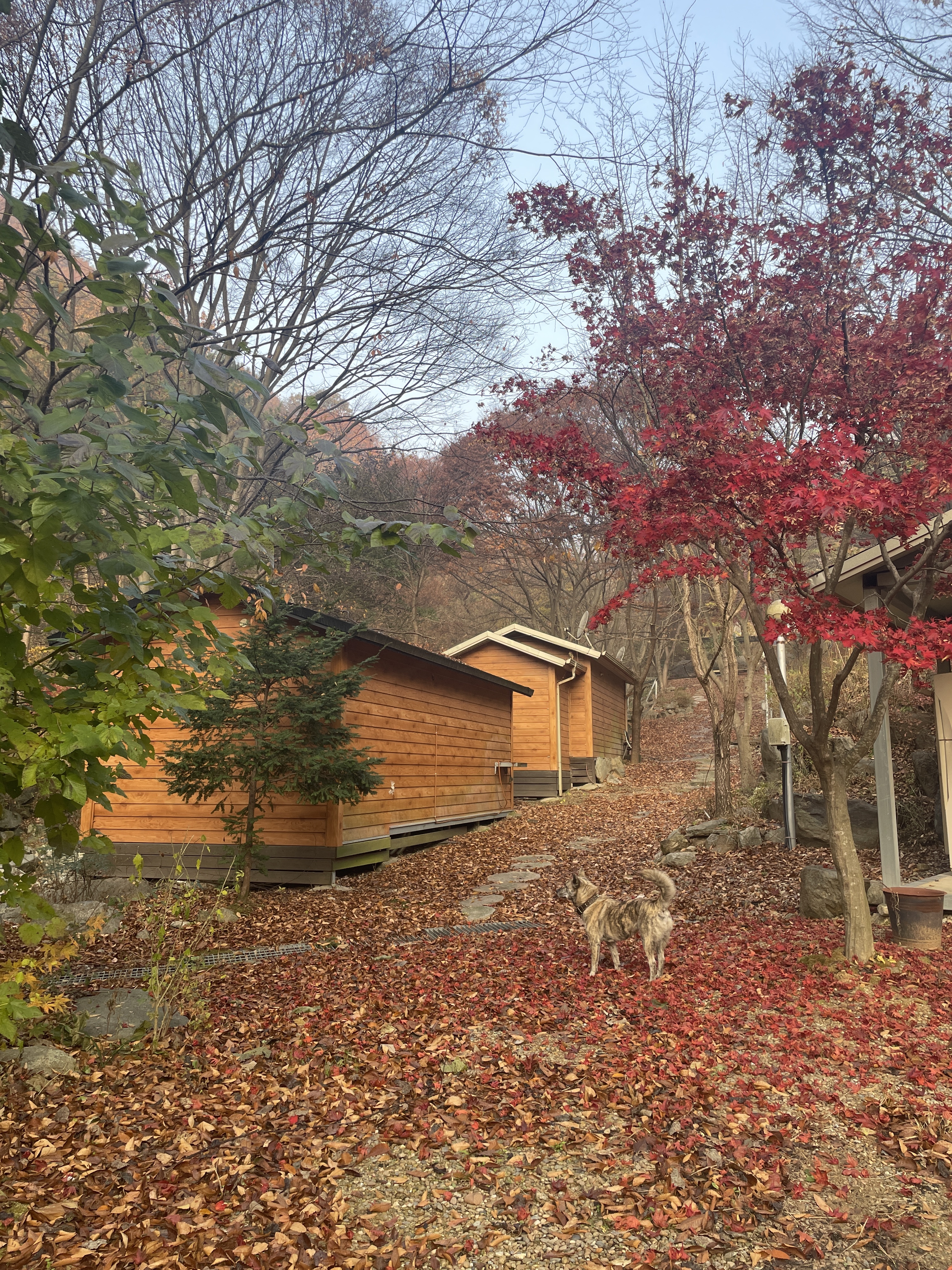 별빛계곡펜션 공주 4