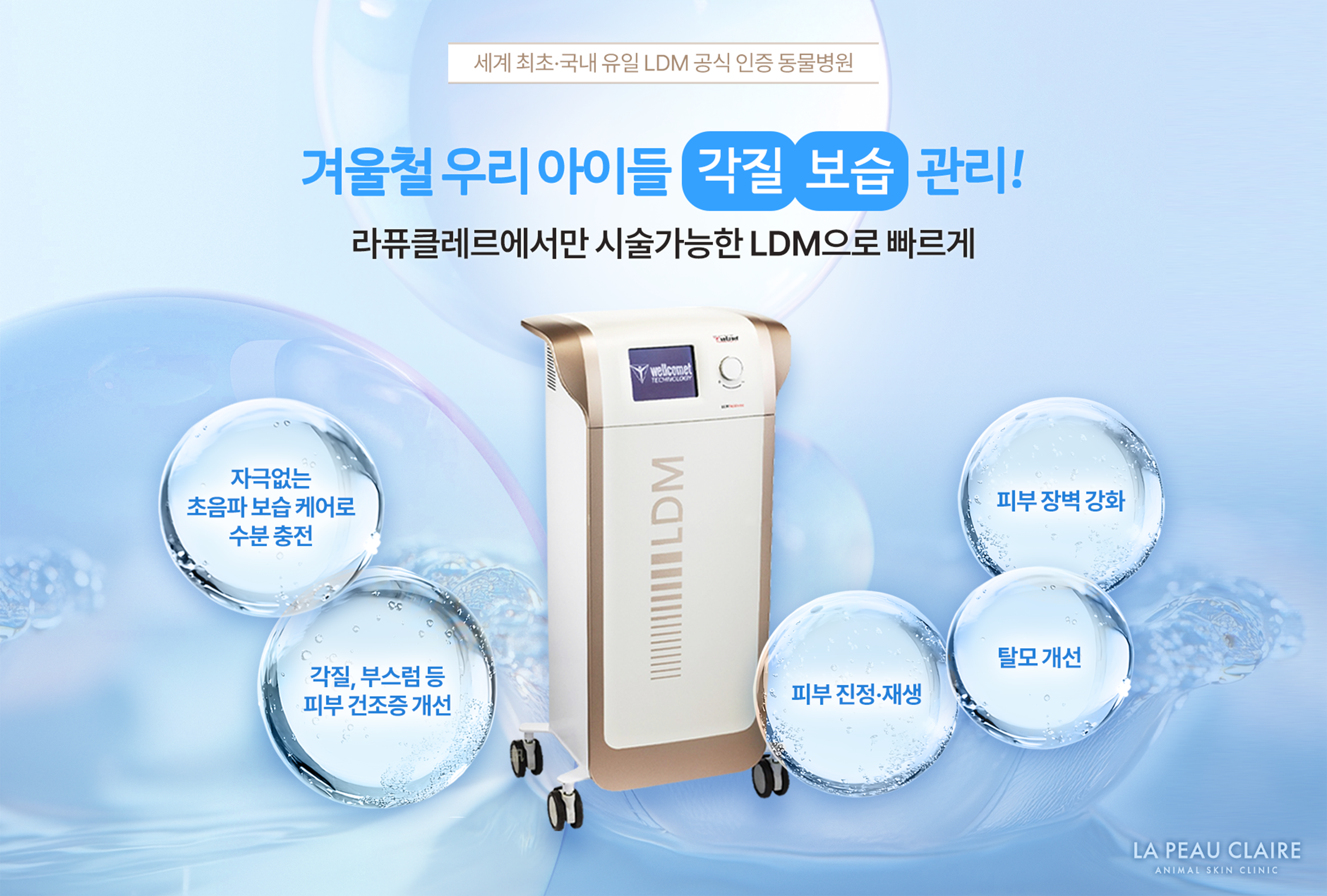 라퓨클레르 대표 이미지