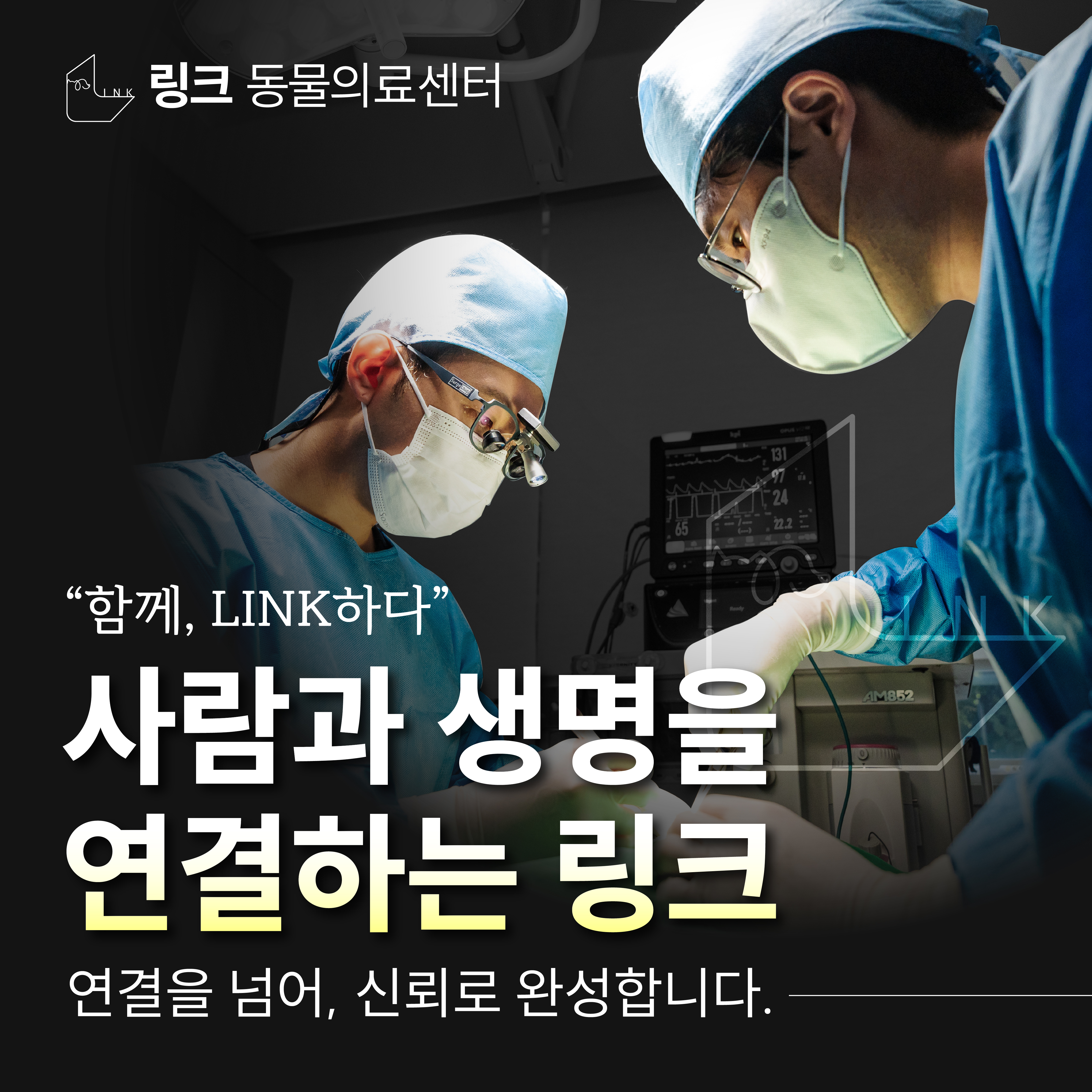 링크 동물의료센터 대표 이미지