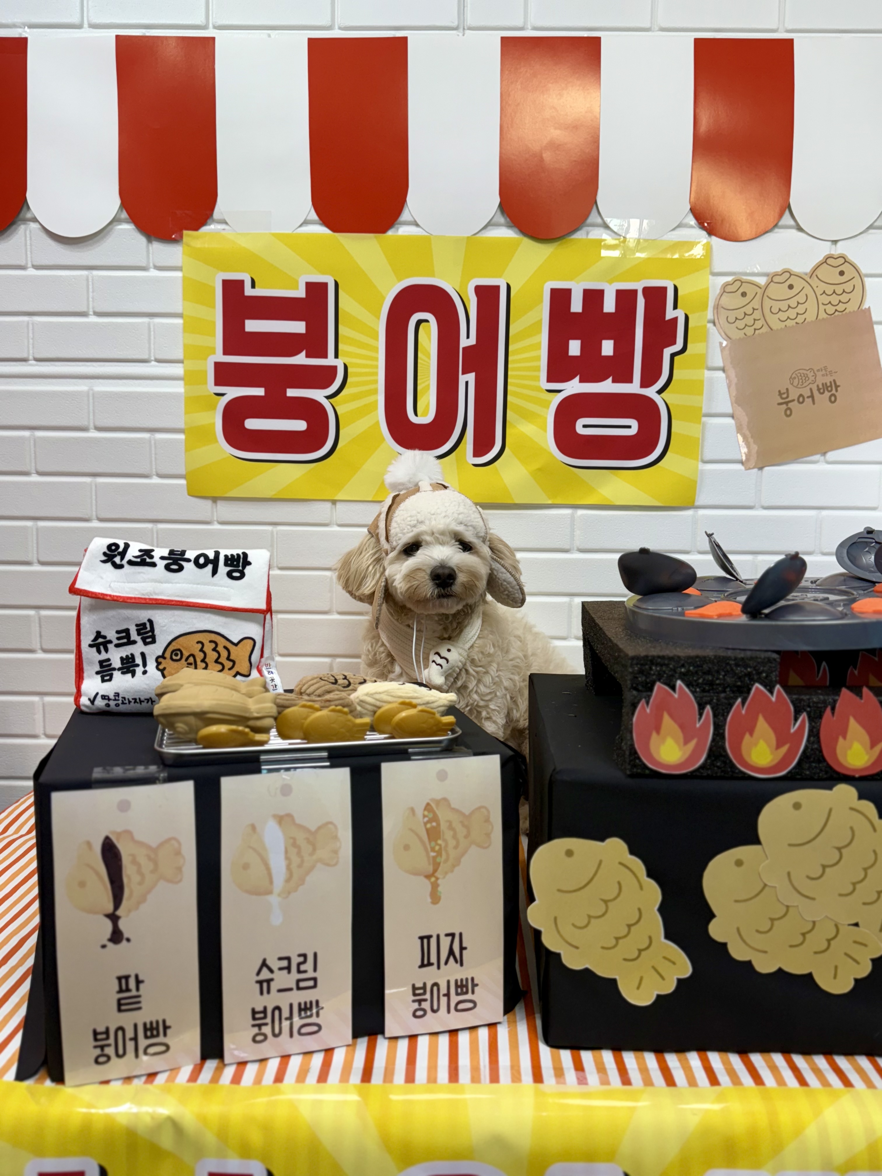 오모나 5