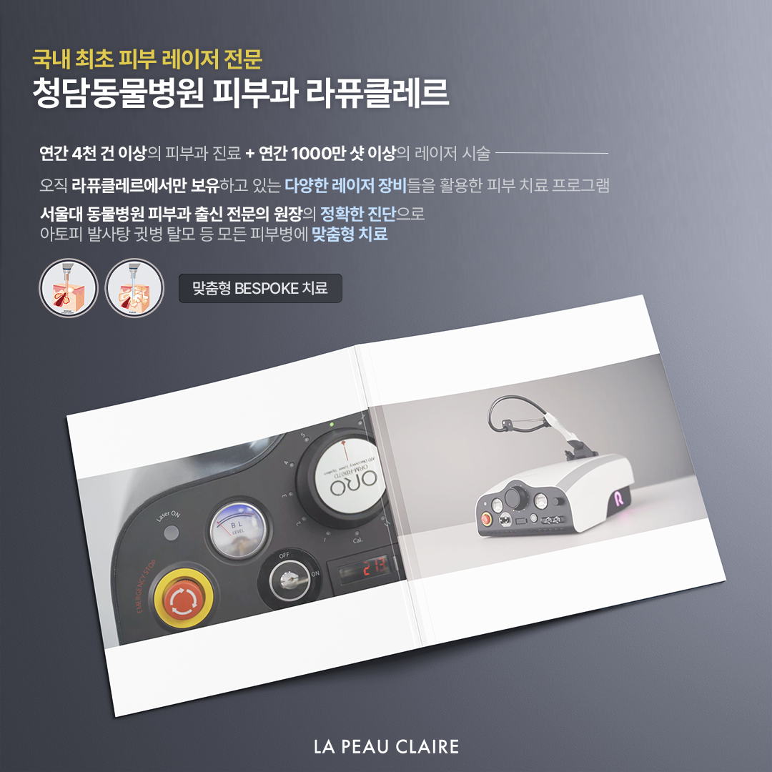 라퓨클레르 대표 이미지