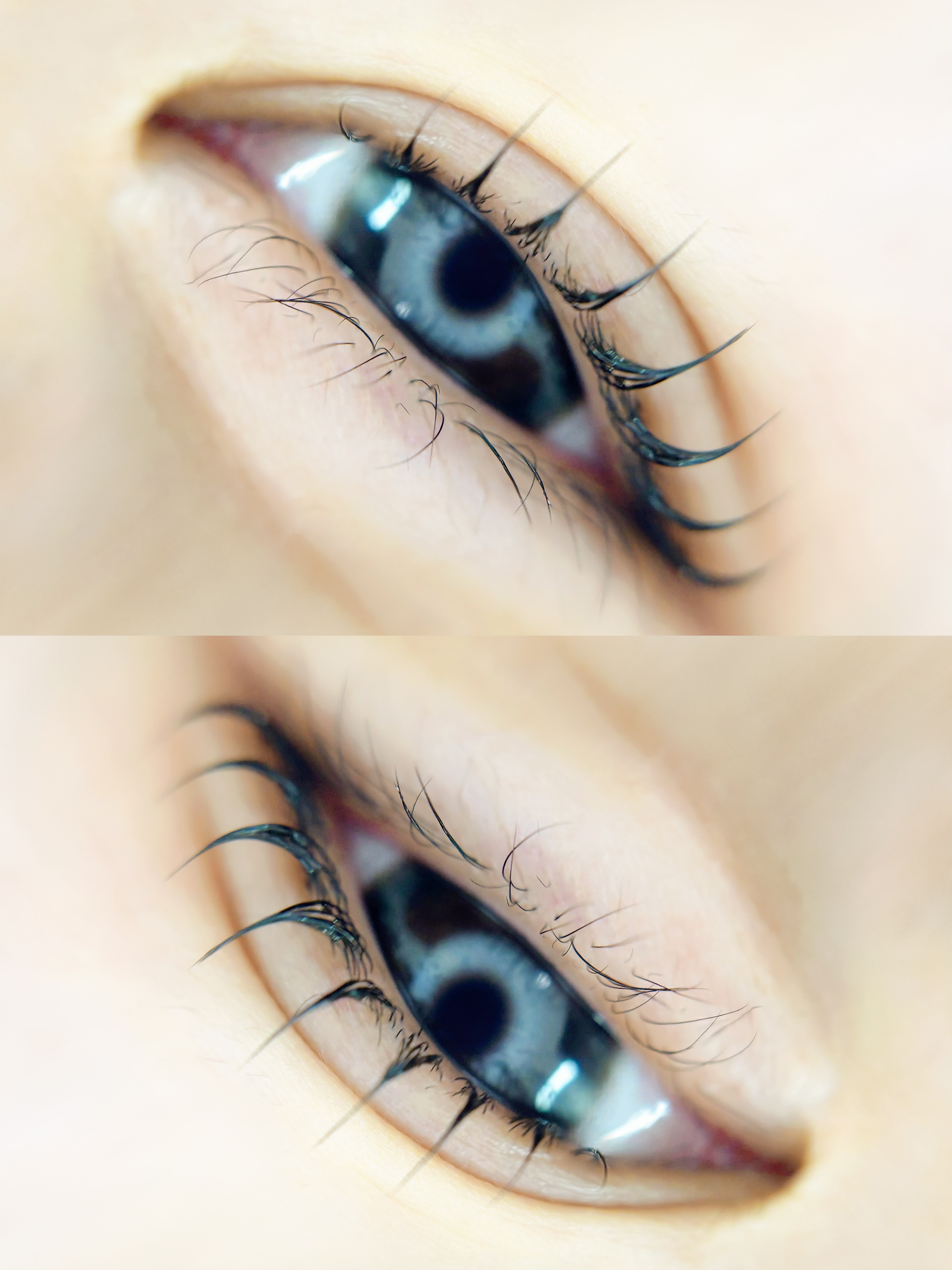 온점 대표 이미지