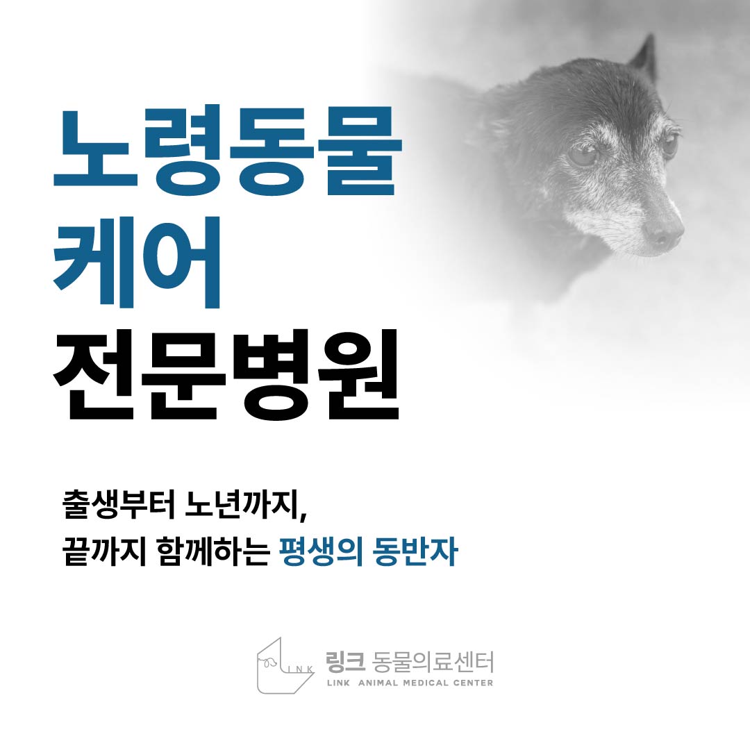 링크 동물의료센터 이미지