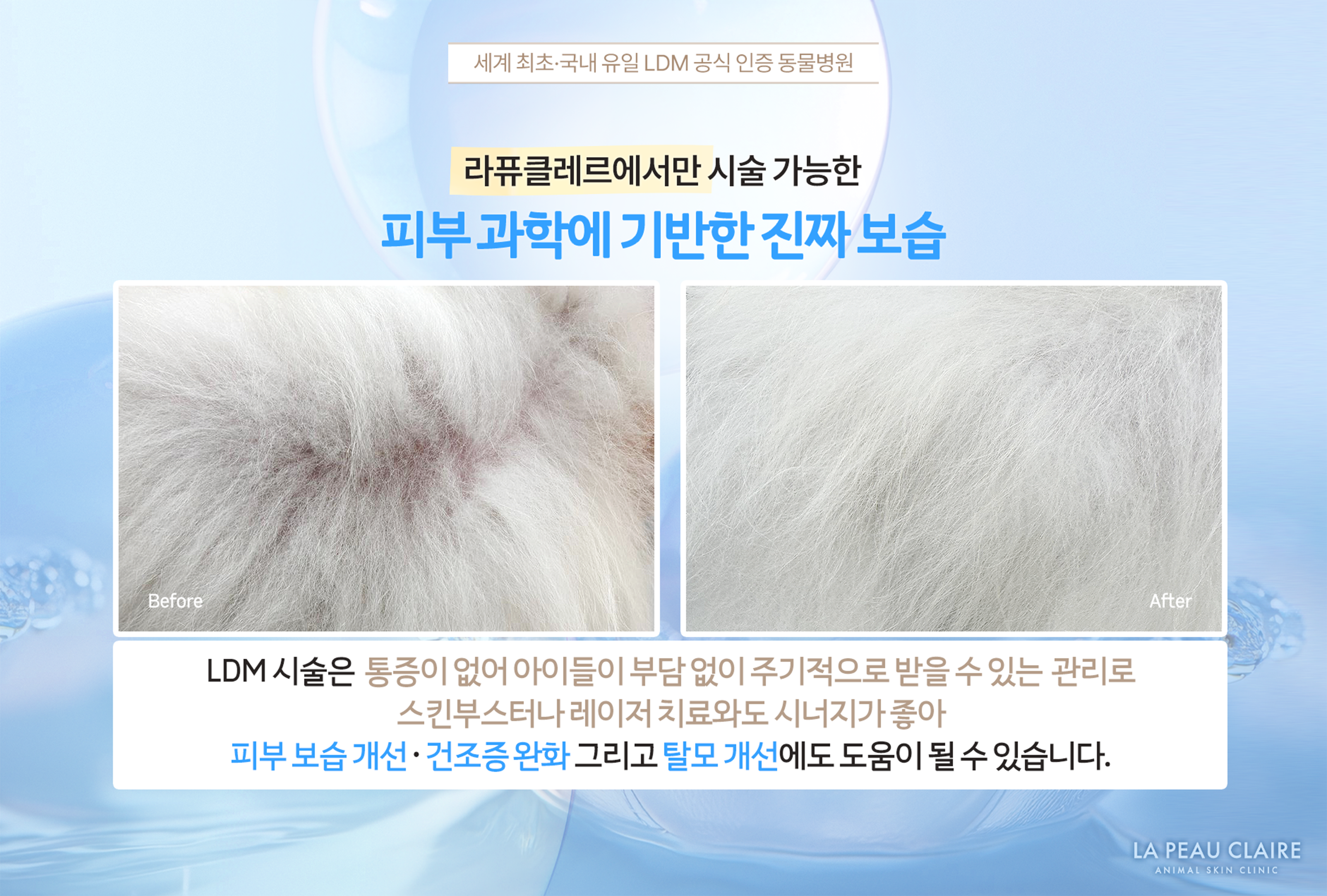 라퓨클레르 동물피부클리닉 대표 이미지