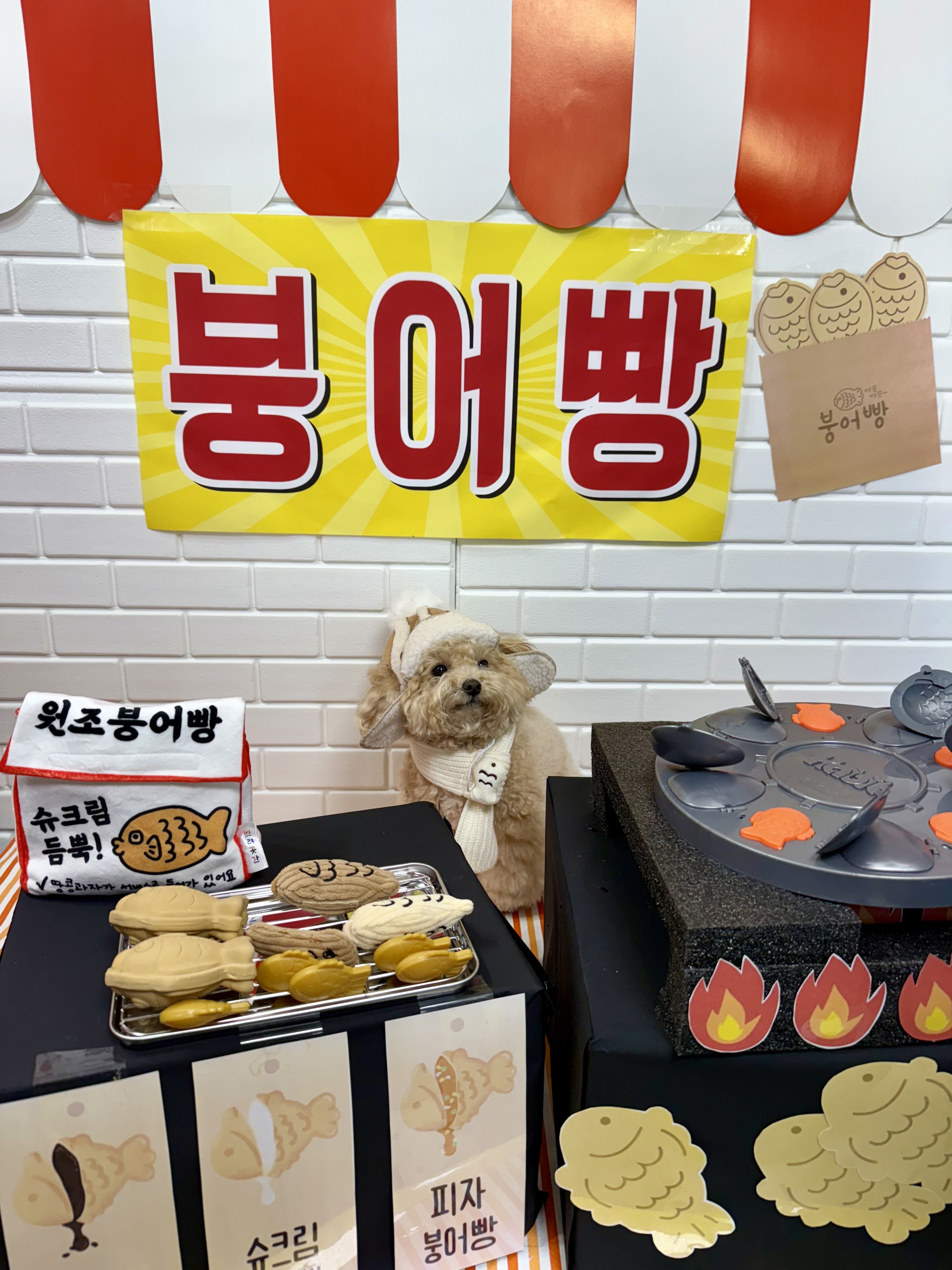 우리집첫째 잔디 운동장 이미지