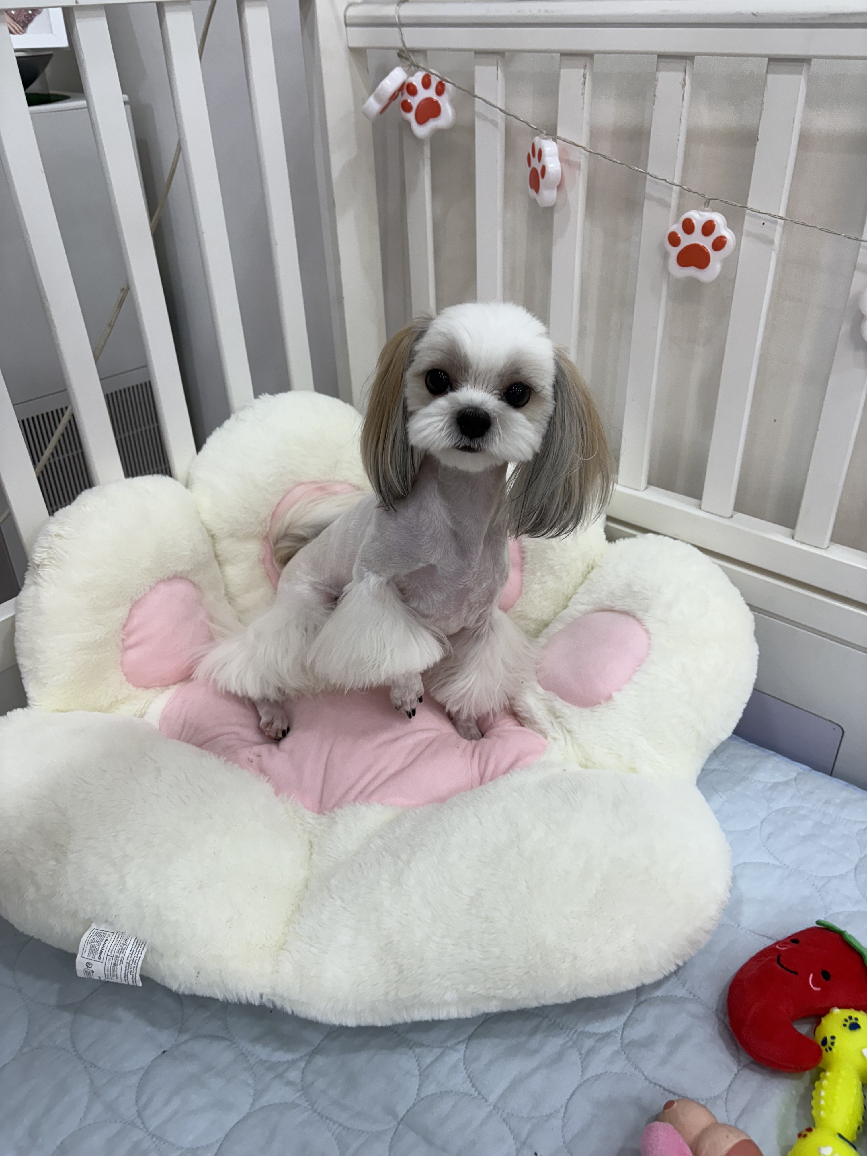 폼나개 대표 이미지