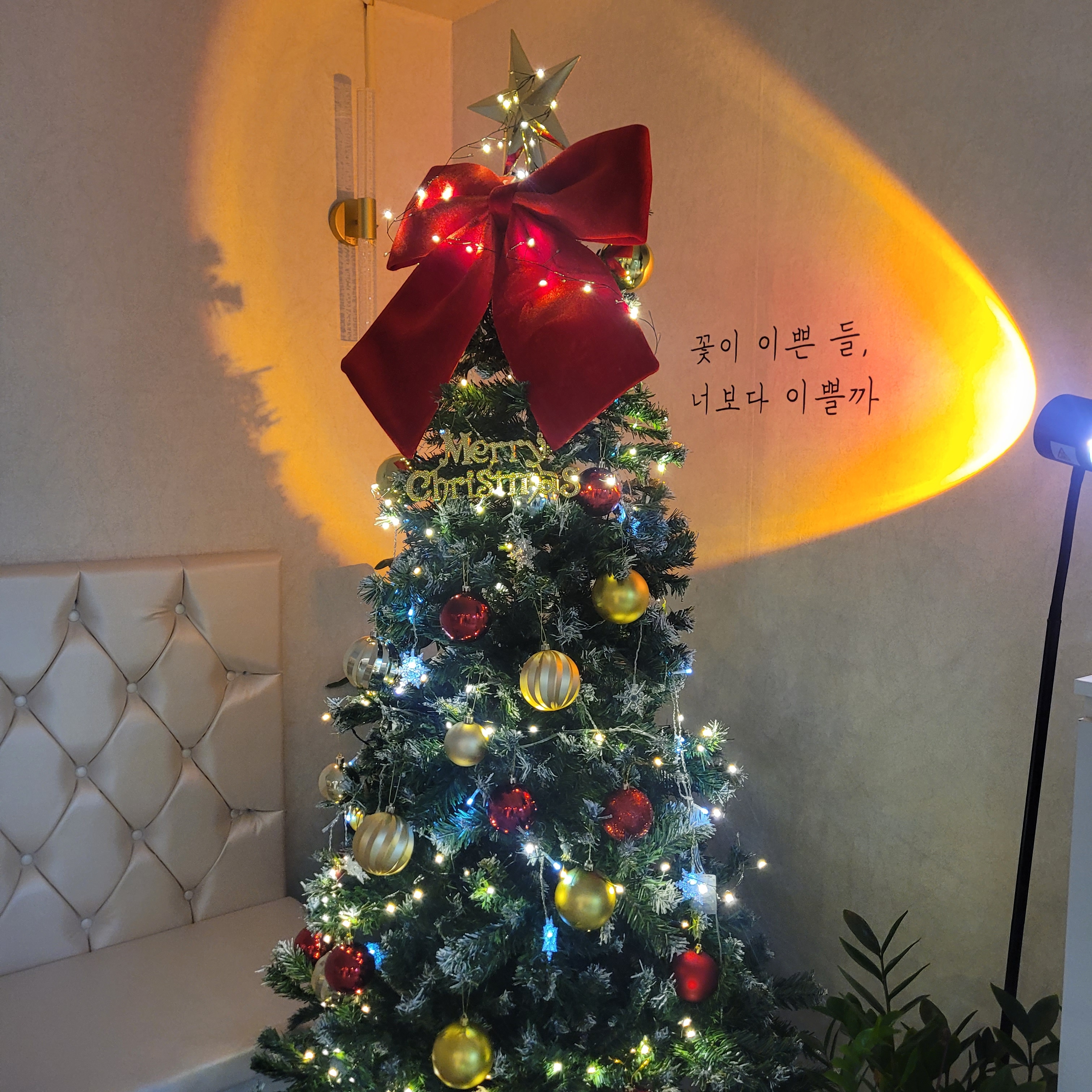 케이뷰티앤스파 강남역마사지 서초양재본점 photo 5