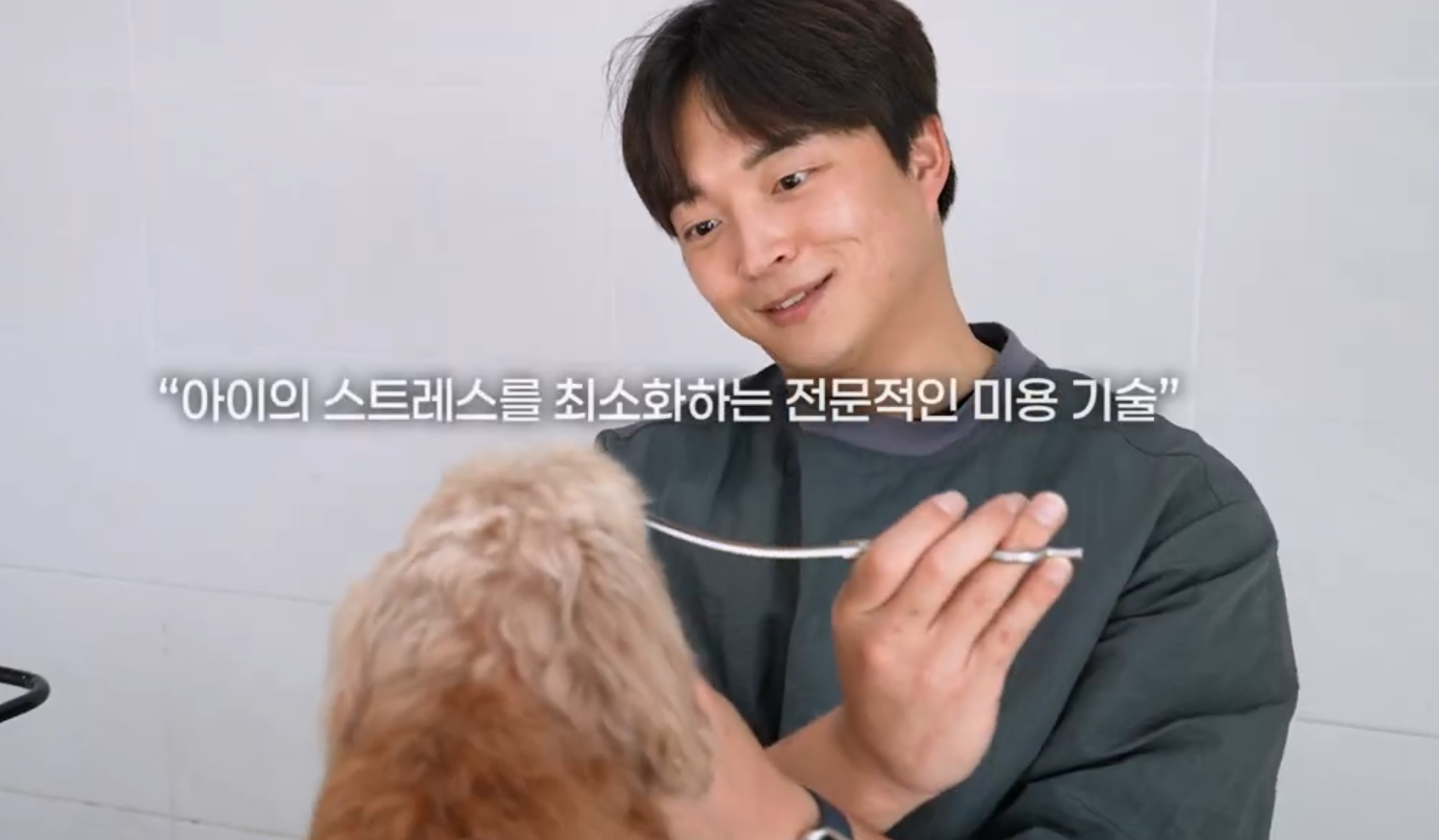 빵이네 애견미용실 대표 이미지