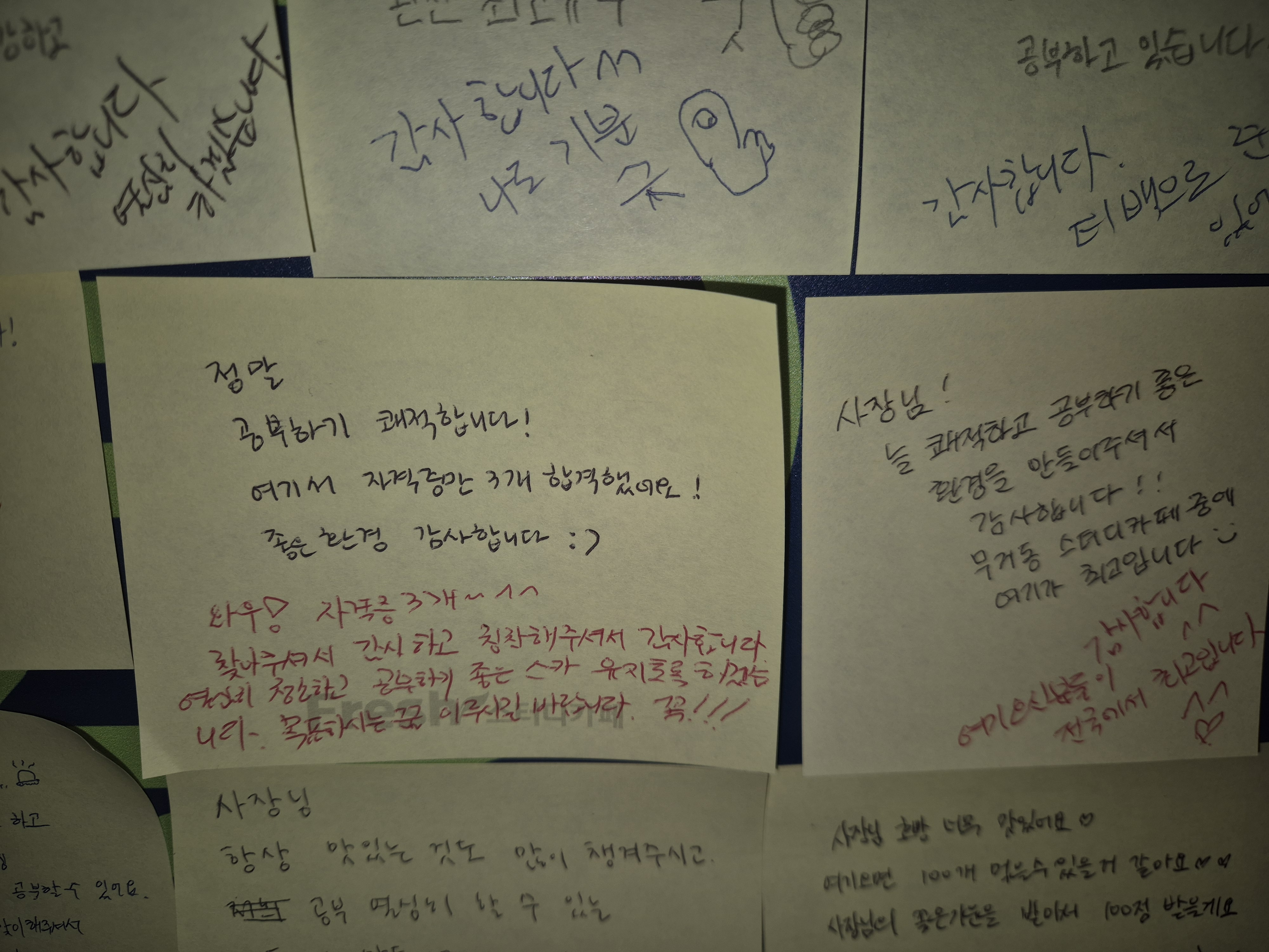 업체사진