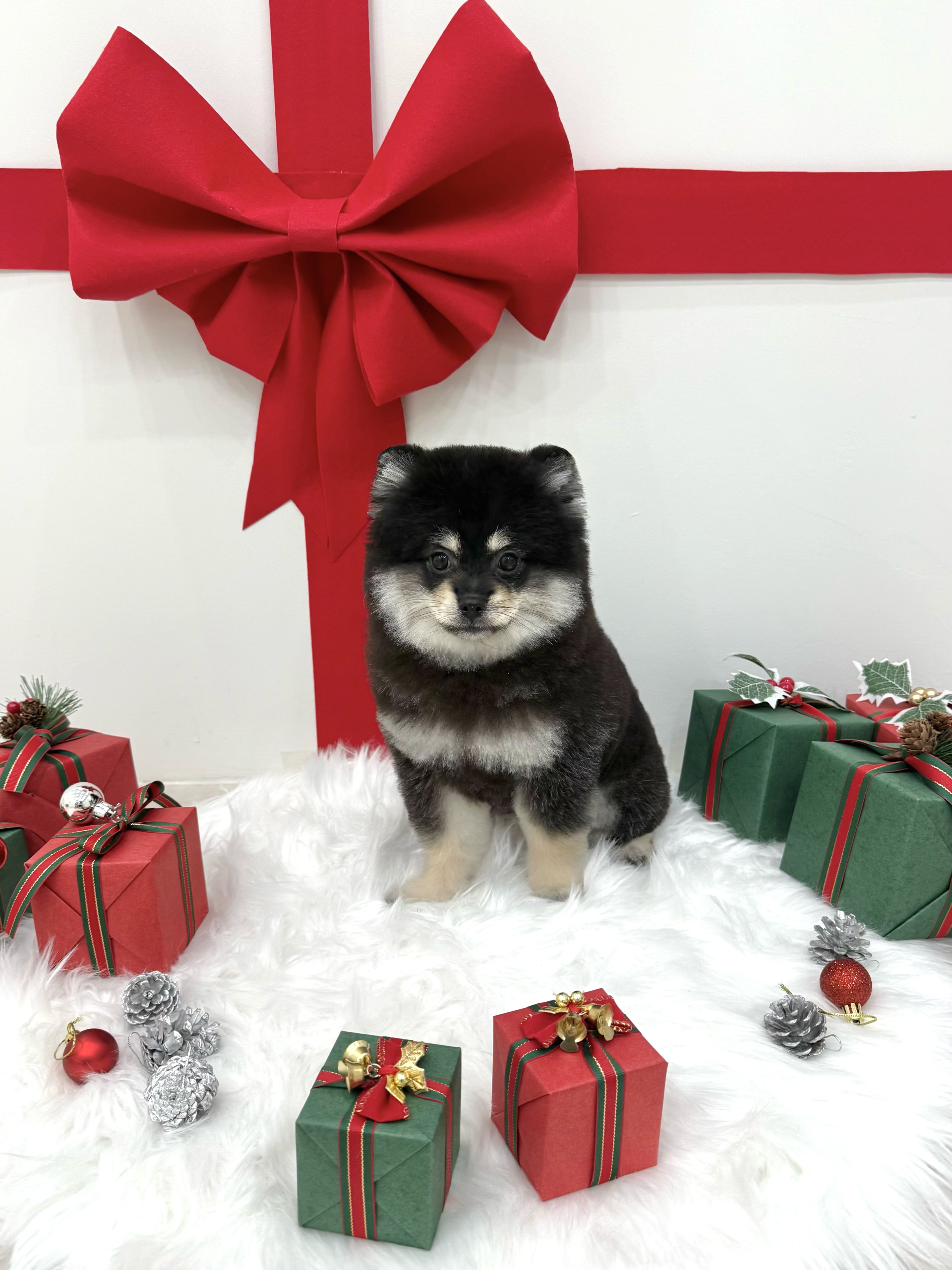 쓰담쓰담 대표 이미지