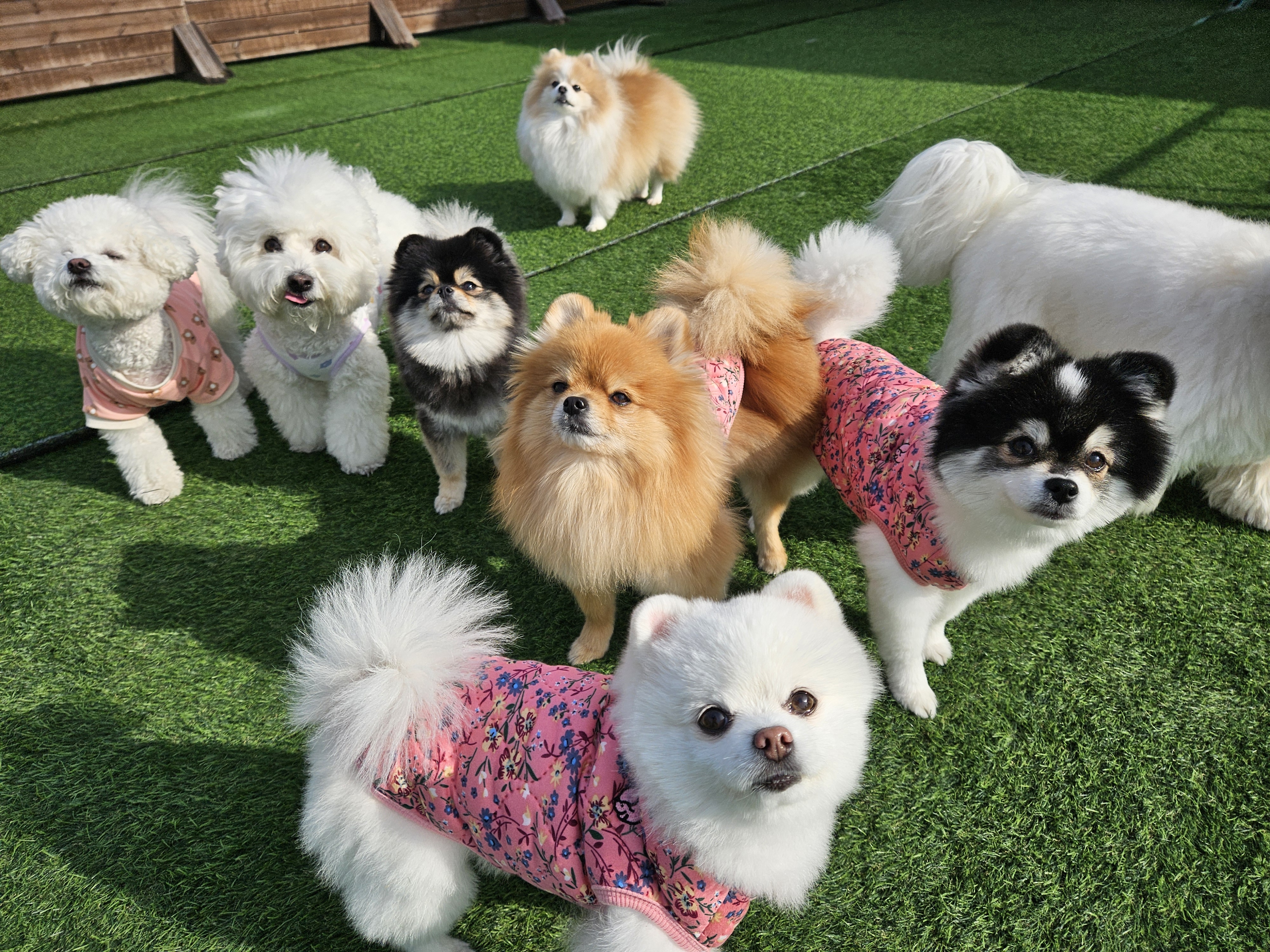 사진 5