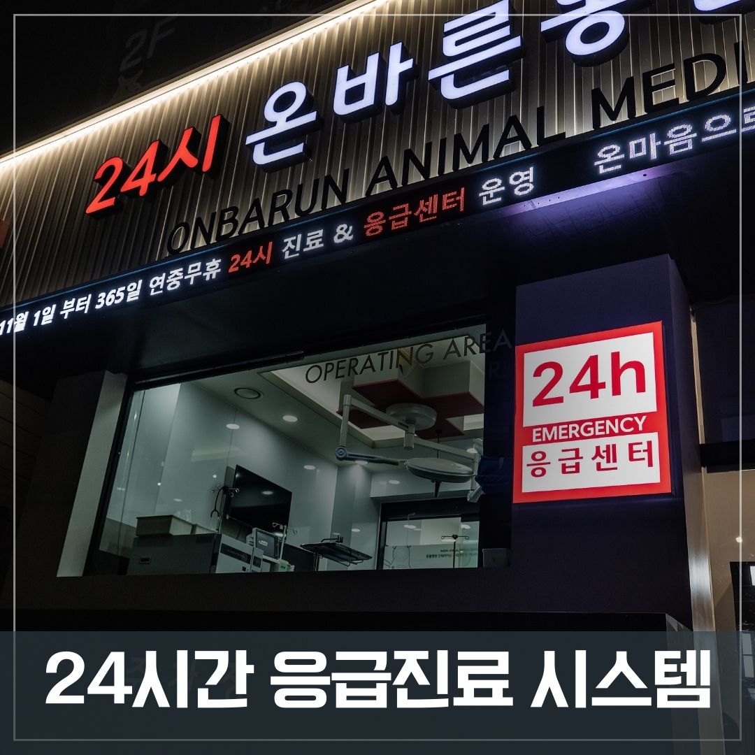 온바른동물의료센터 이미지