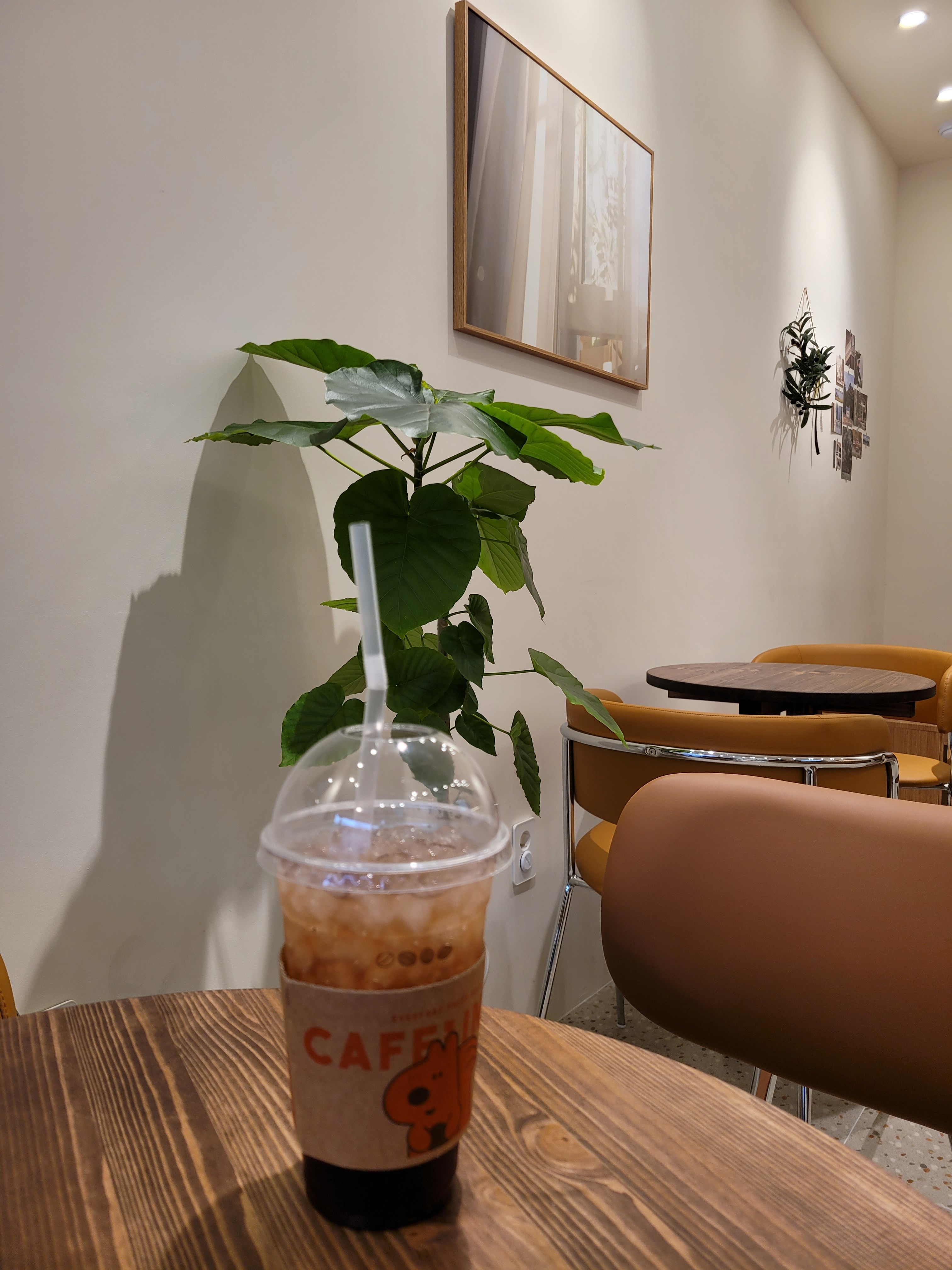 업체사진