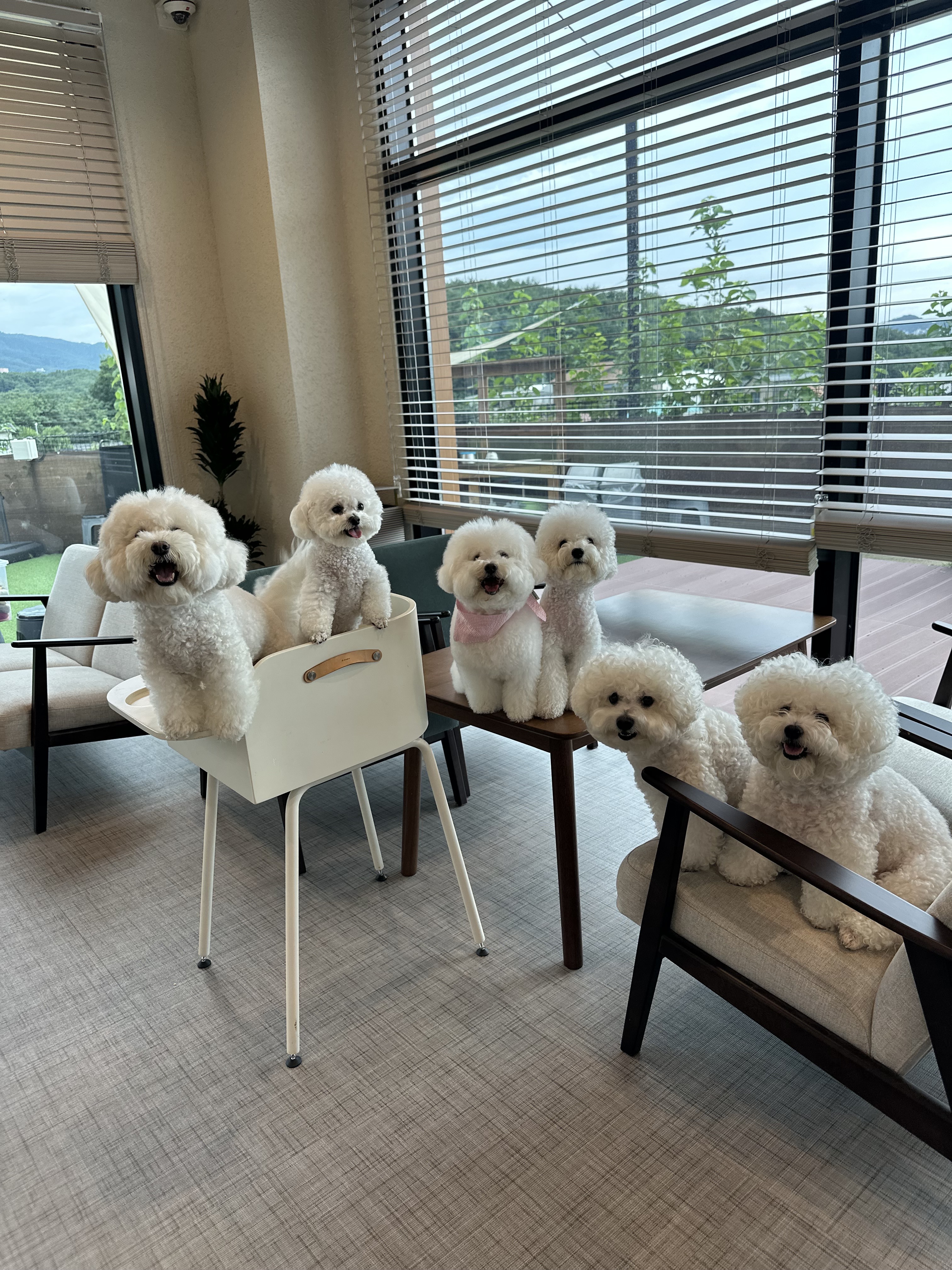 페리토 대표 이미지