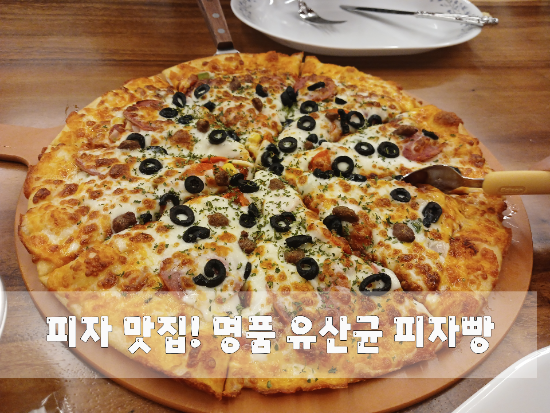 명품유산균피자빵